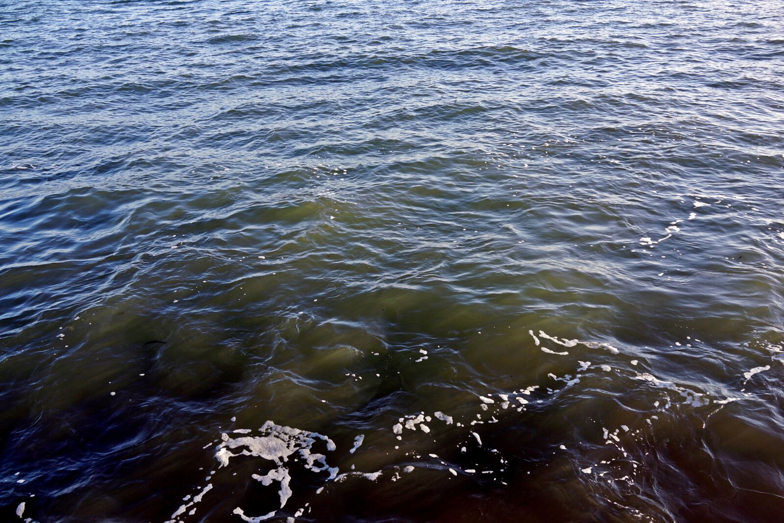 Sony Cyber-shot DSC-RX1 sample photo. Water, rio, tagus river photography