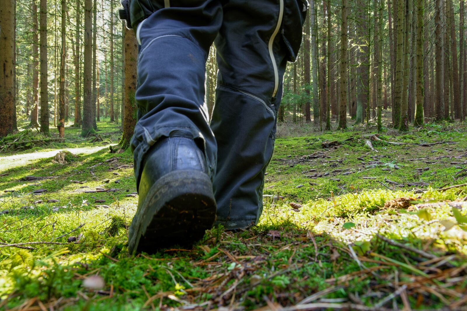 Nikon D7200 sample photo. Shoe, run, forest floor photography