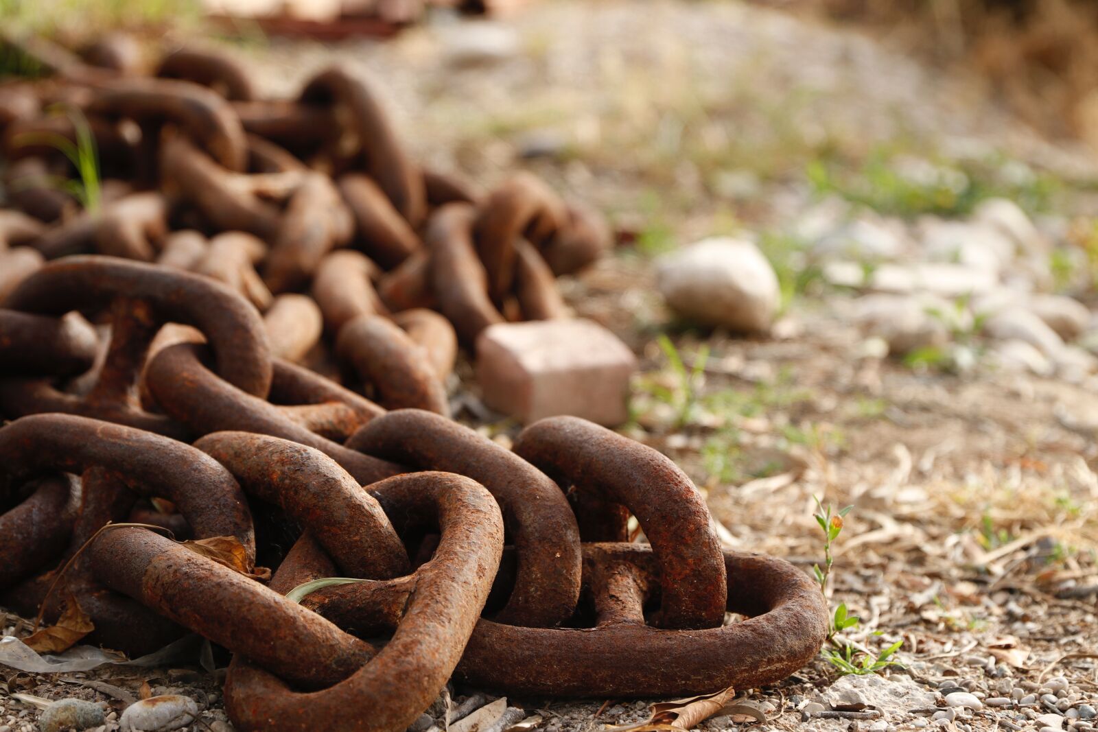 Canon EOS 80D sample photo. Chain, texture, iron photography