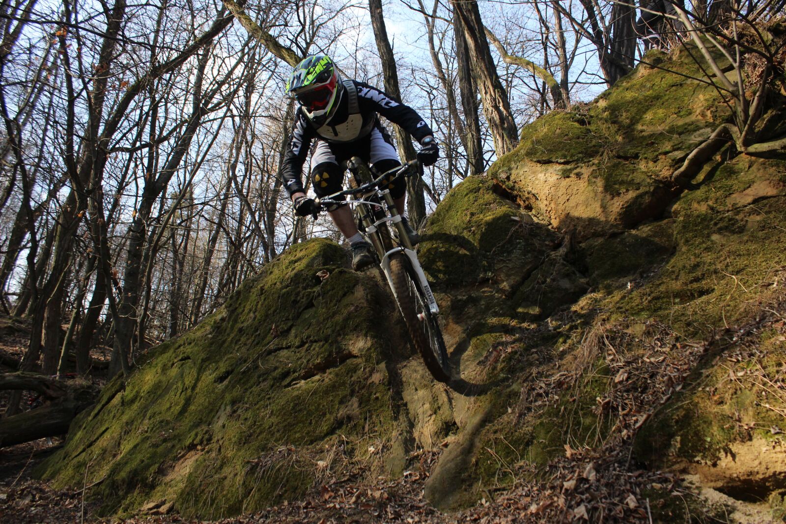 Canon EOS 600D (Rebel EOS T3i / EOS Kiss X5) sample photo. Round, downhill, forest photography