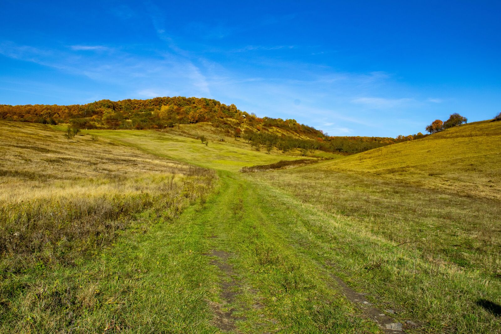 Nikon D5300 sample photo. Hungary, aggtelek, nature photography