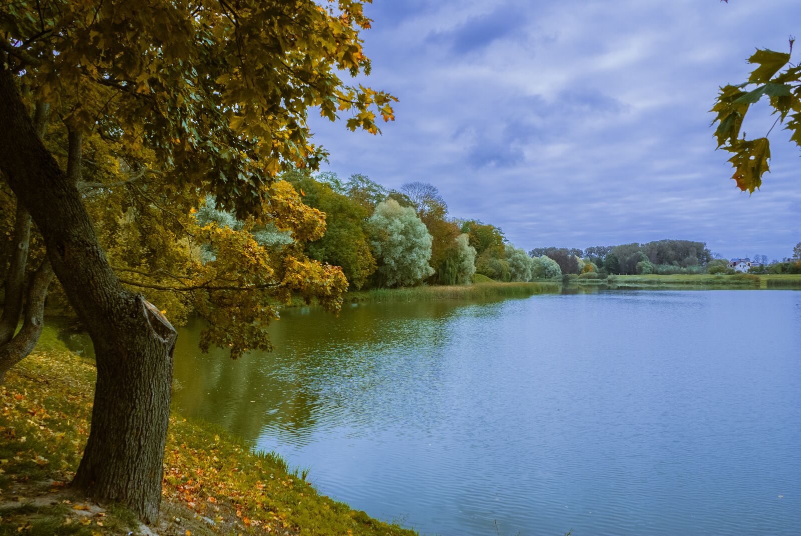 Sony Alpha DSLR-A100 sample photo. Autumn, park, nature photography