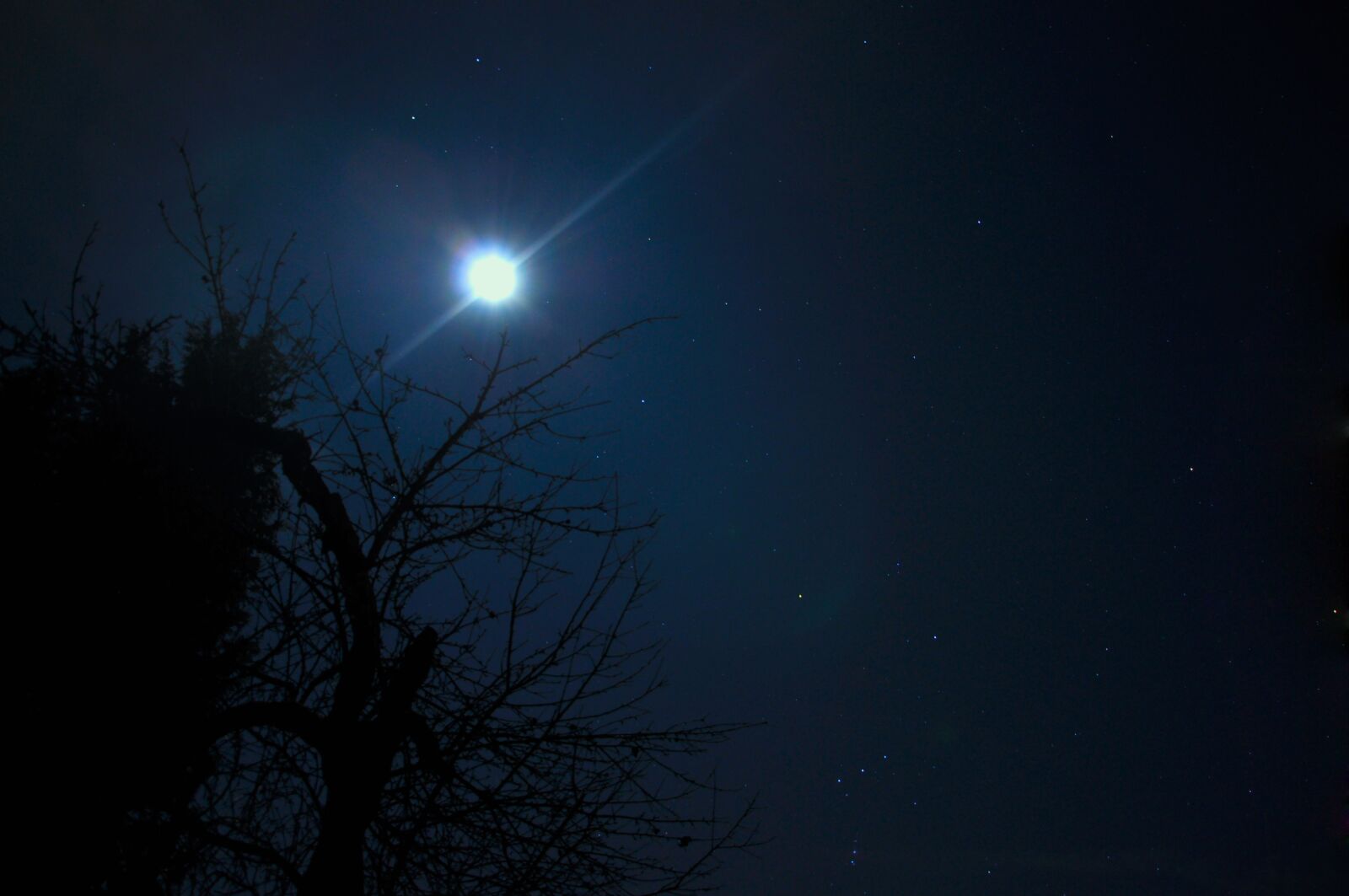 Nikon D90 sample photo. Sun, trees, night photography