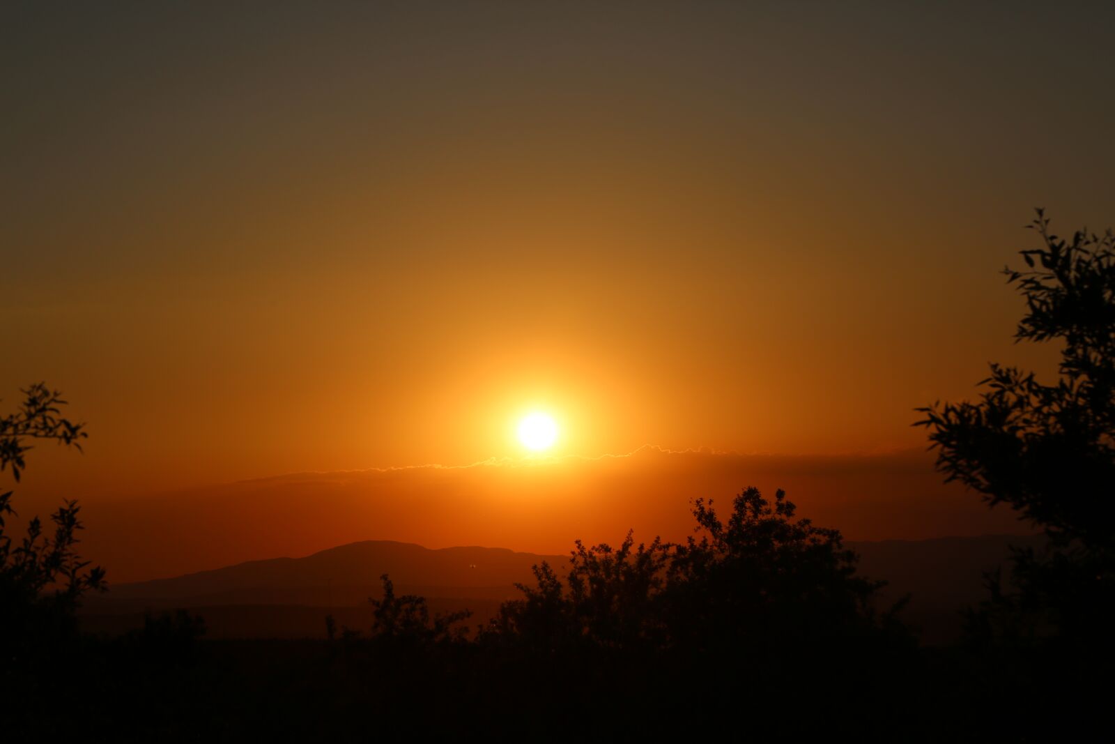 Canon EF 24-105mm F4L IS USM sample photo. Sunset, dawn, solar photography
