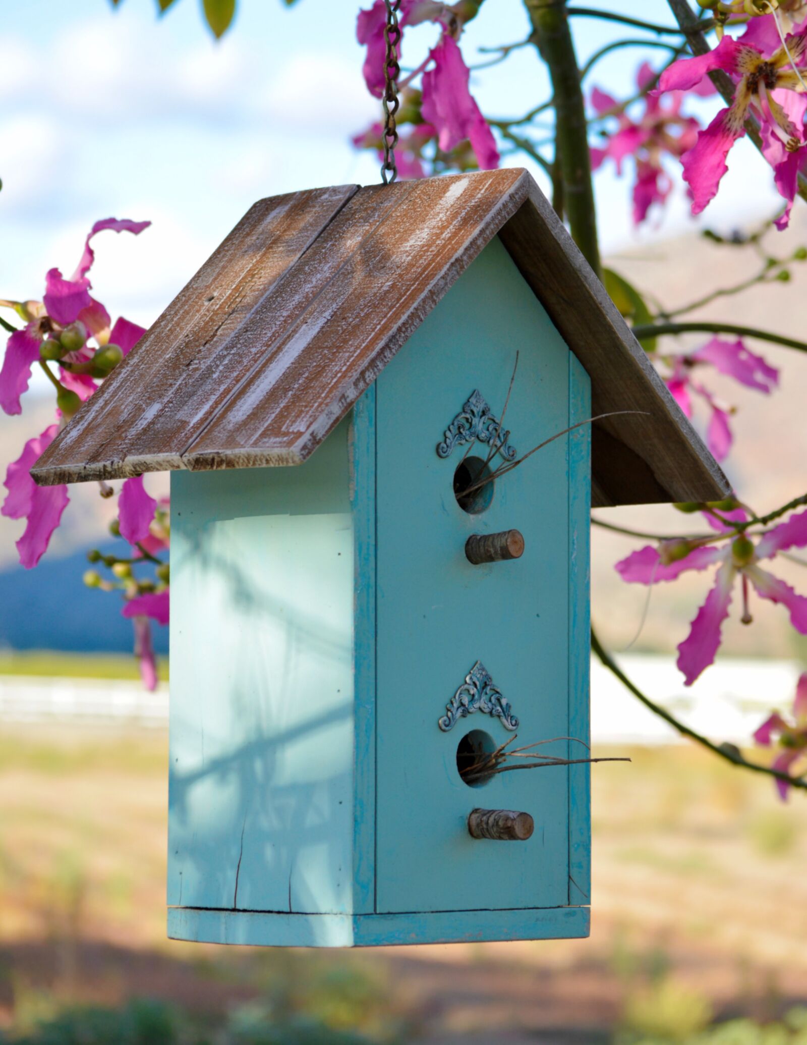 Nikon D3200 sample photo. Birdhouse, turquoise, wood photography
