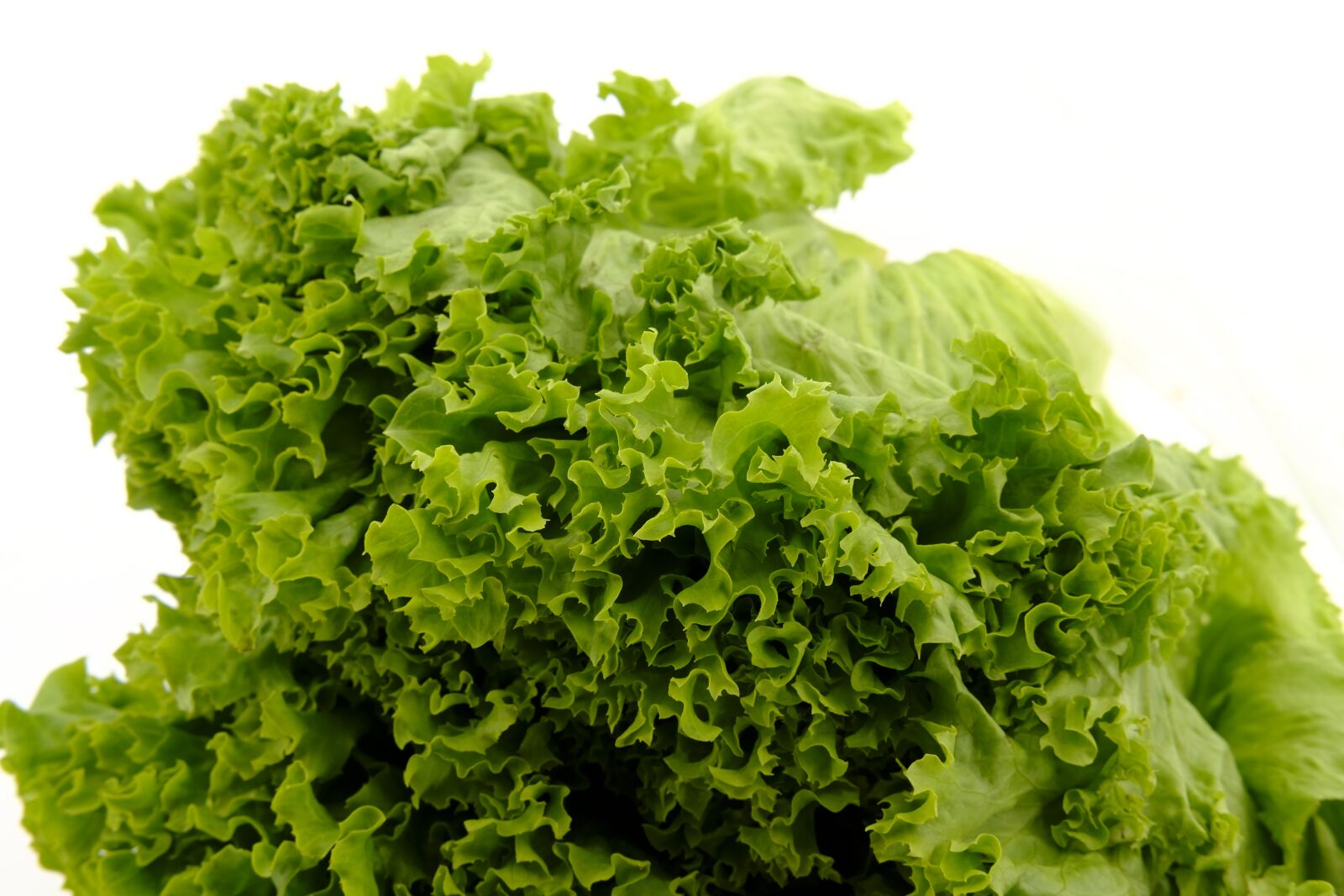 Fujifilm X-T2 + Fujifilm XF 35mm F2 R WR sample photo. Salad, leaf lettuce, lettuce photography