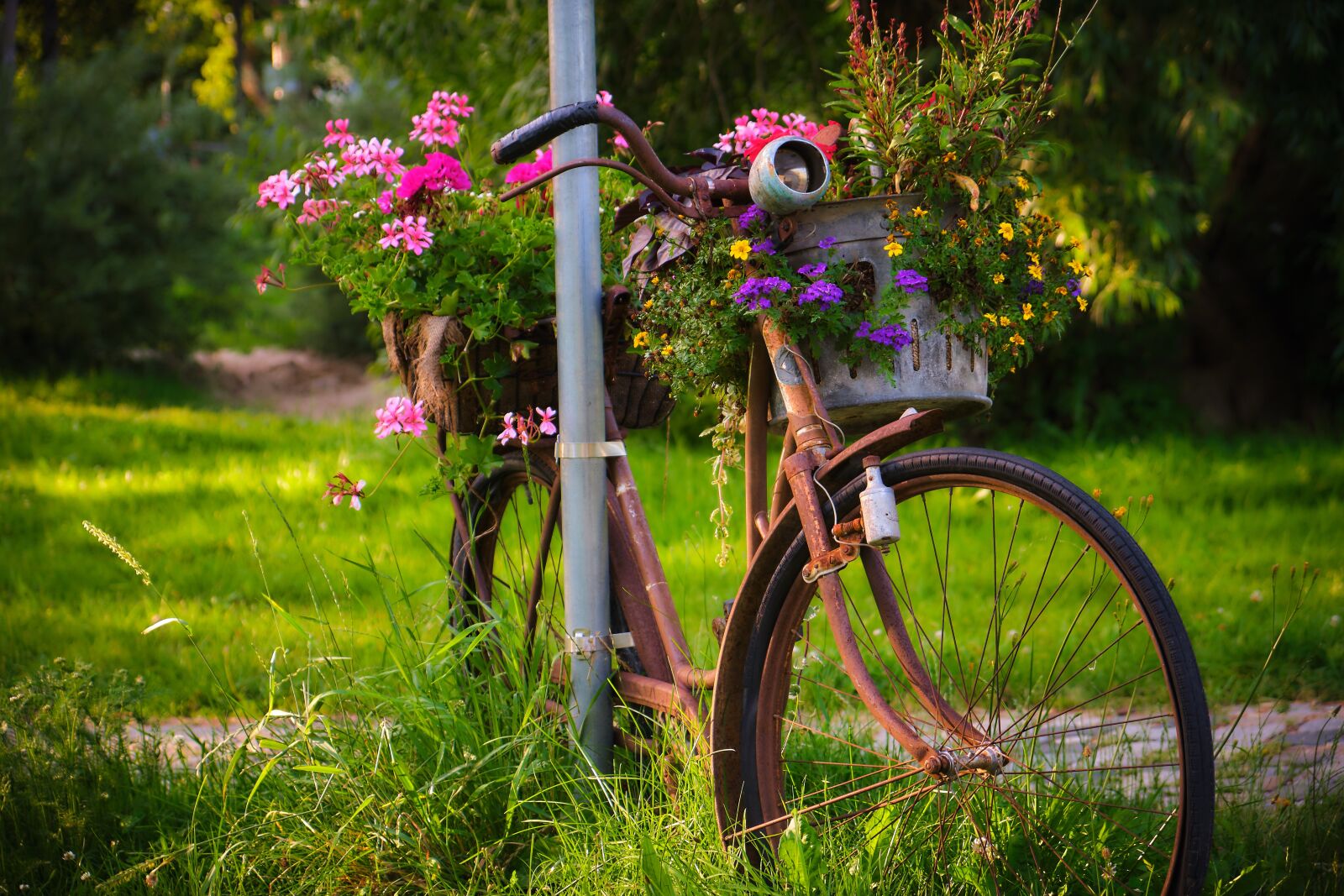 Fujifilm XF 18-55mm F2.8-4 R LM OIS sample photo. Bike, rust, old photography
