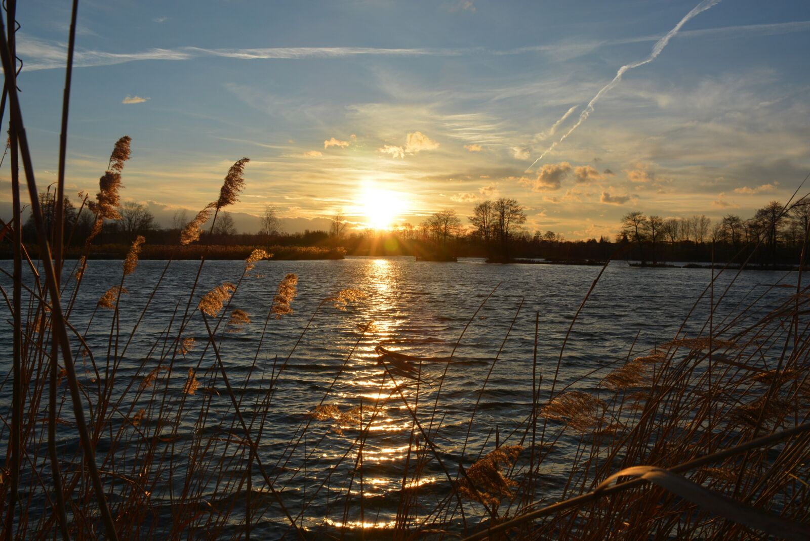 Nikon D7100 sample photo. Water, nature, pond photography