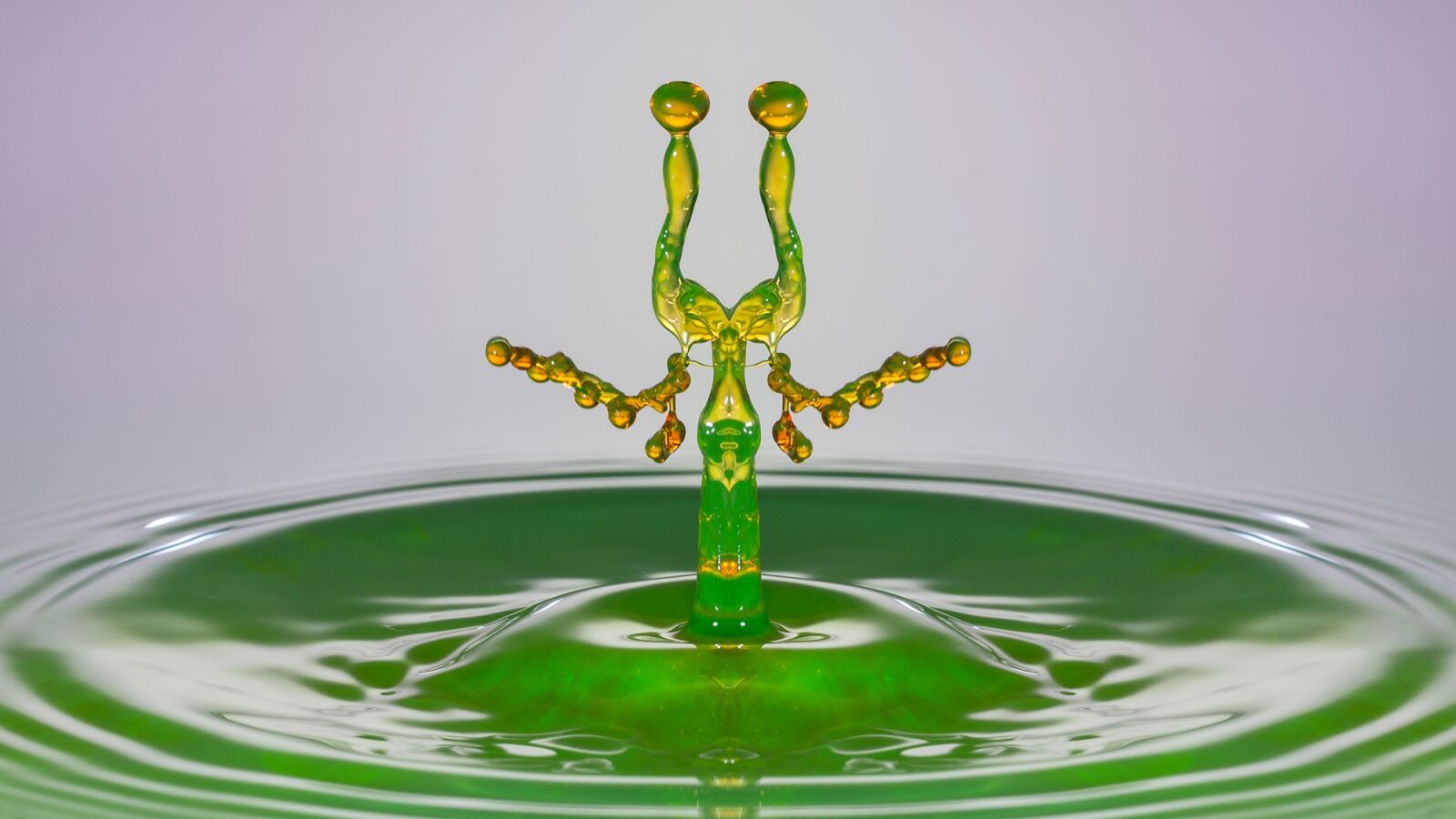 150mm F2.8 sample photo. Water, drip, drop of photography