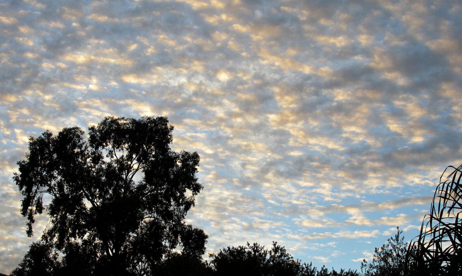 Canon PowerShot SX170 IS sample photo. Sky, evening, scattered photography