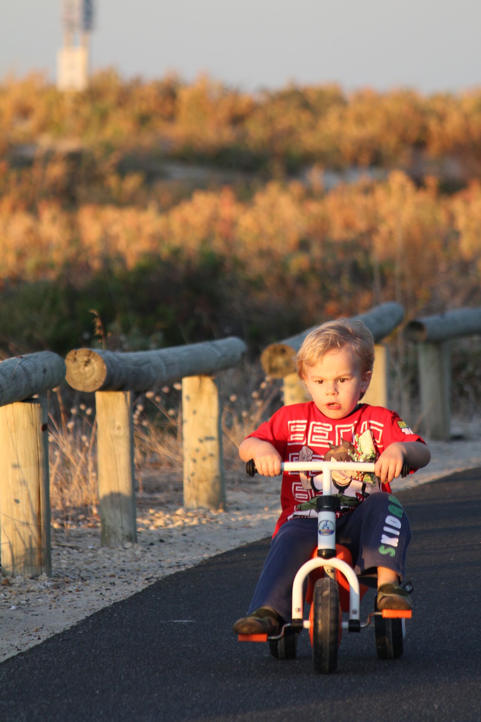 Canon EF-S 55-250mm F4-5.6 IS sample photo. Boy, child, bike photography