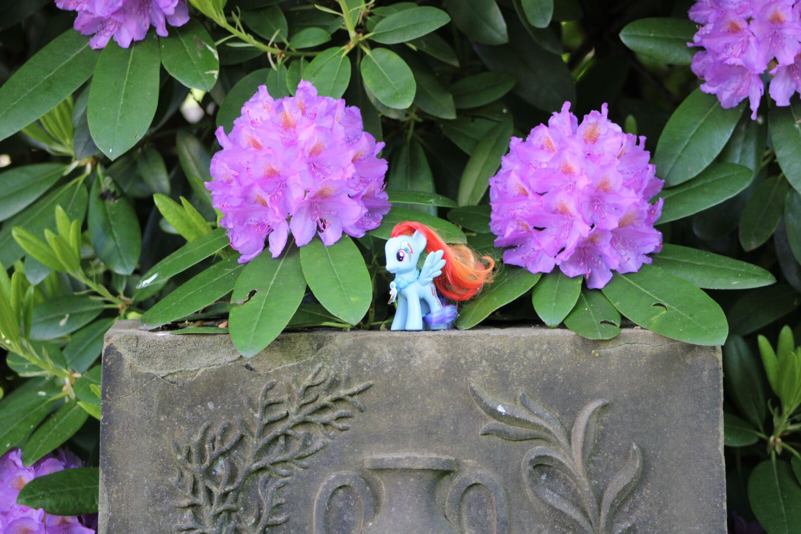 Canon EF75-300mm f/4-5.6 sample photo. My little pony, toys photography