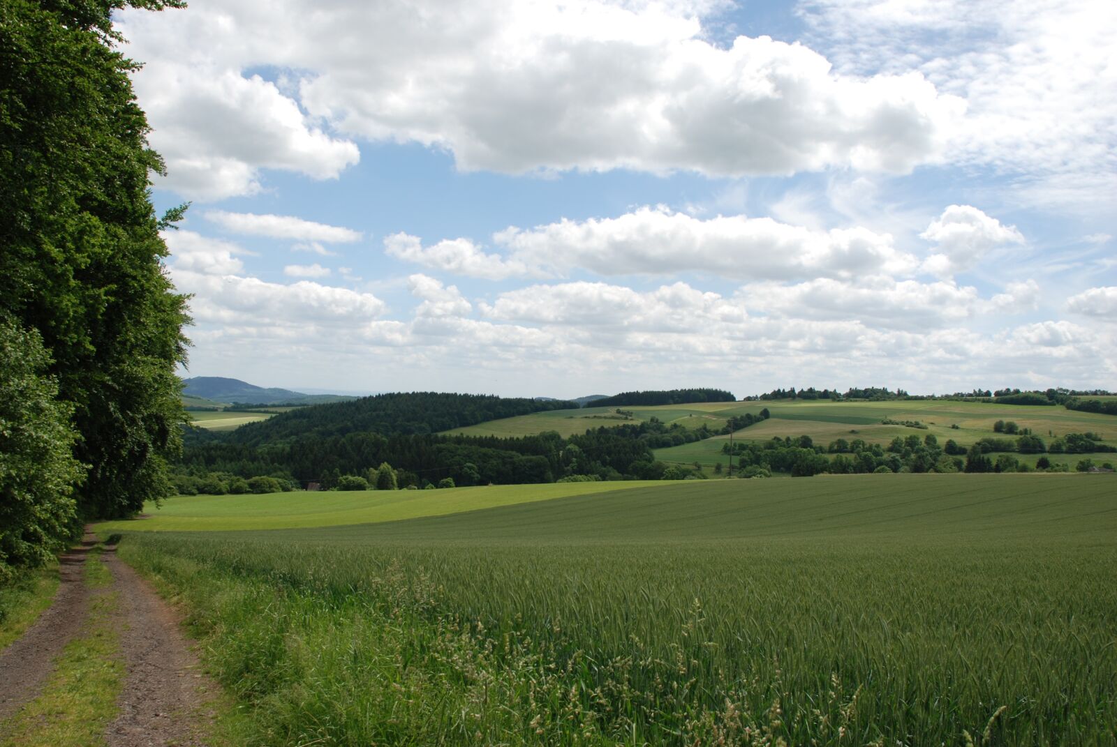 Nikon D80 sample photo. Landscape, panorama, nature photography
