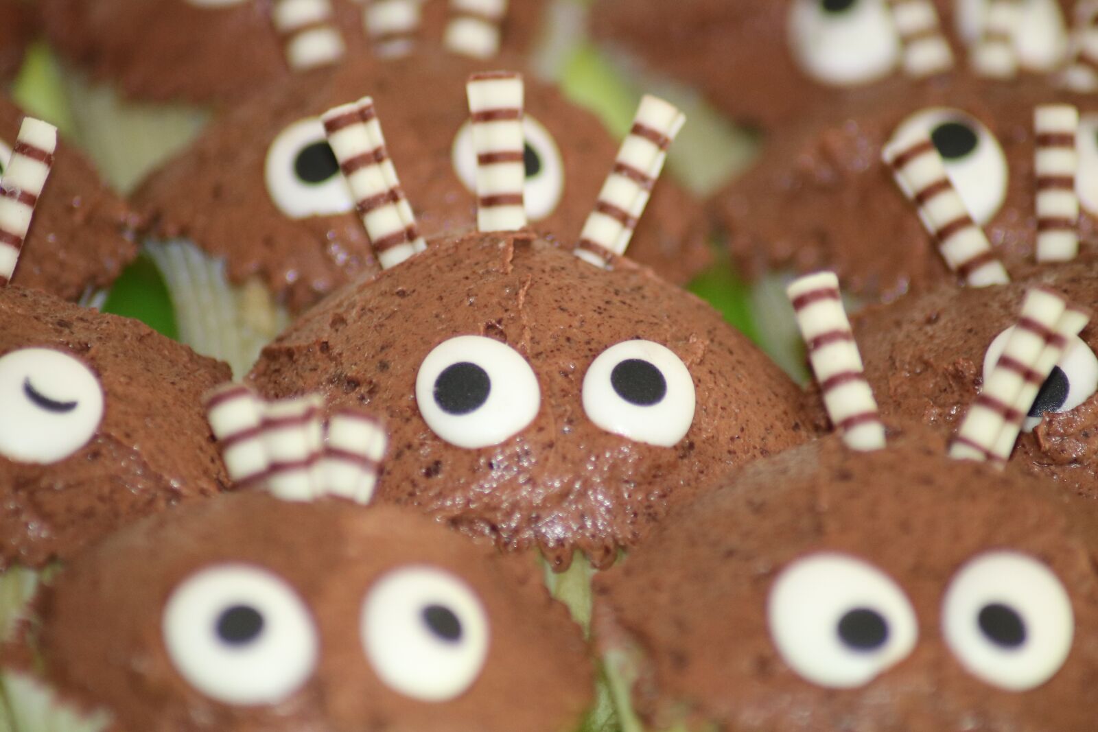 Canon EOS 750D (EOS Rebel T6i / EOS Kiss X8i) sample photo. Cakes, muffin, cupcake photography