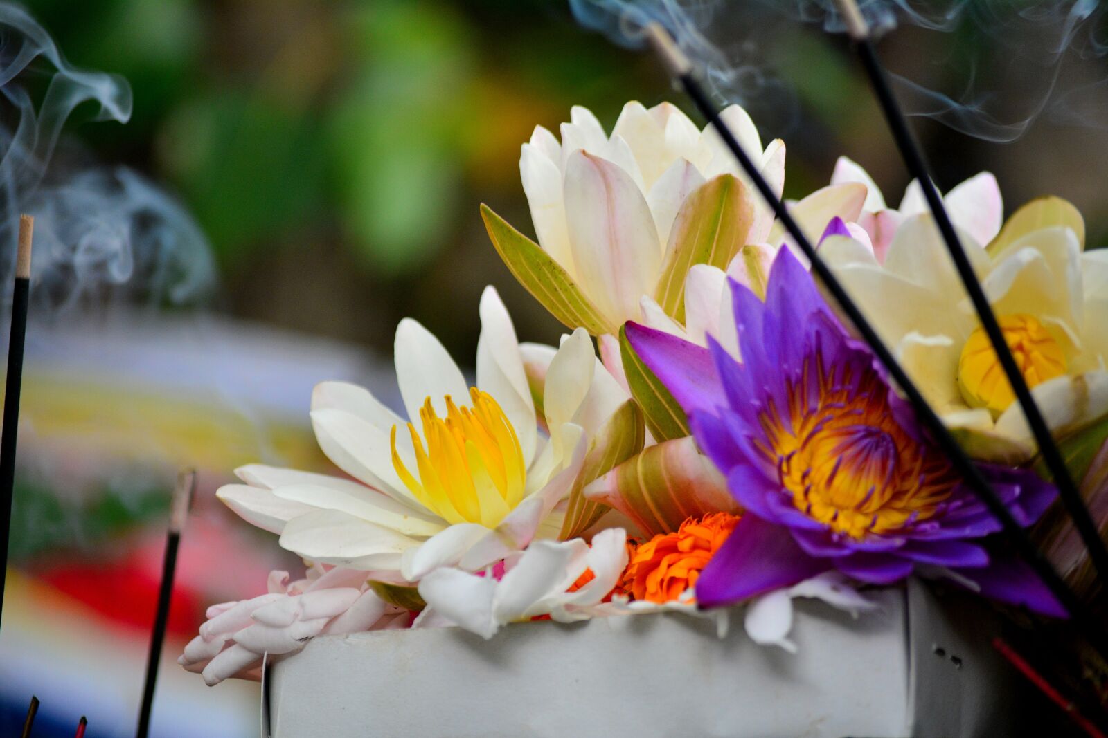 Nikon D5200 sample photo. Flowers, colors, temple photography