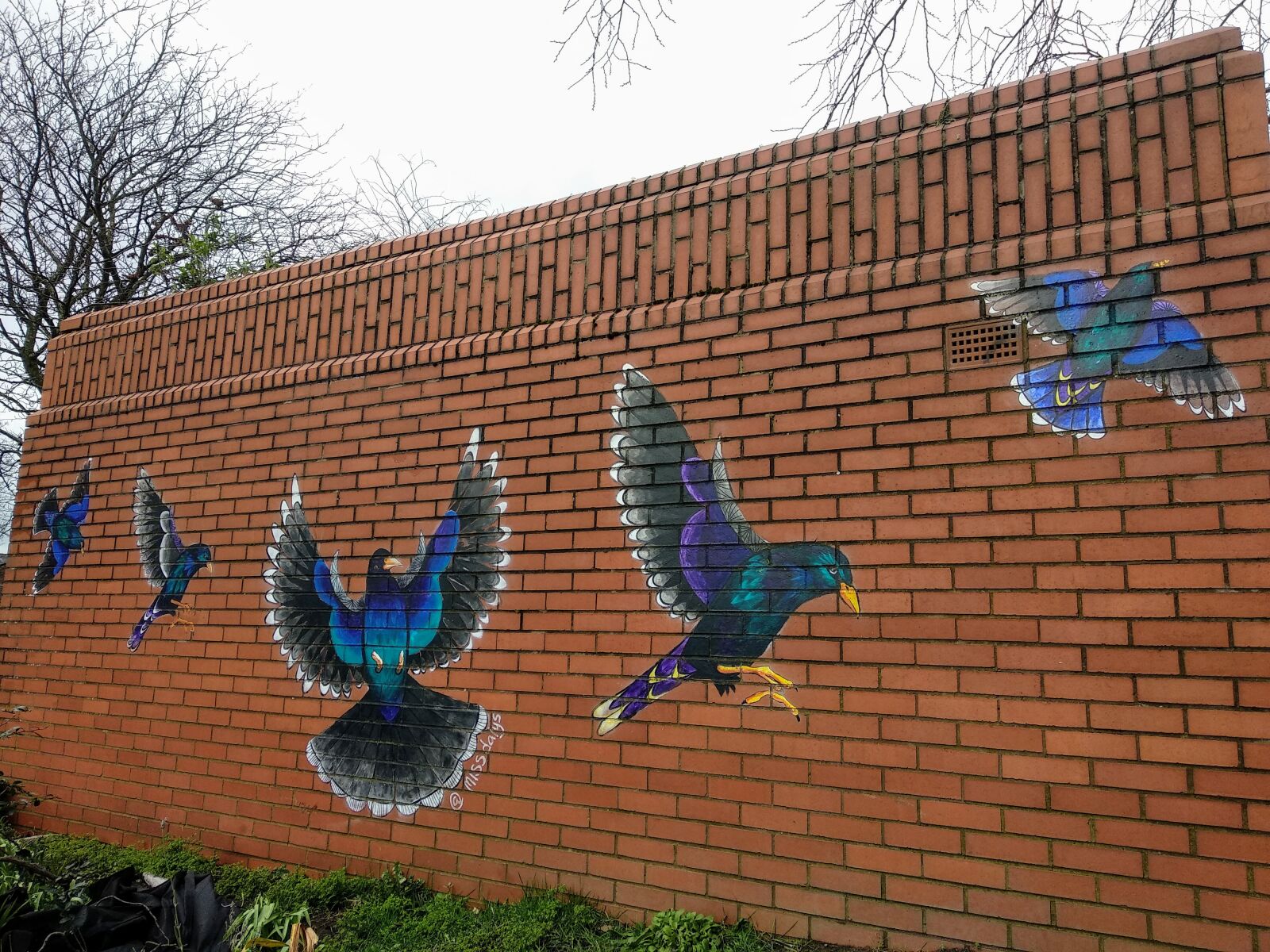 Xiaomi Mi A1 sample photo. Manchester, mural, the art photography