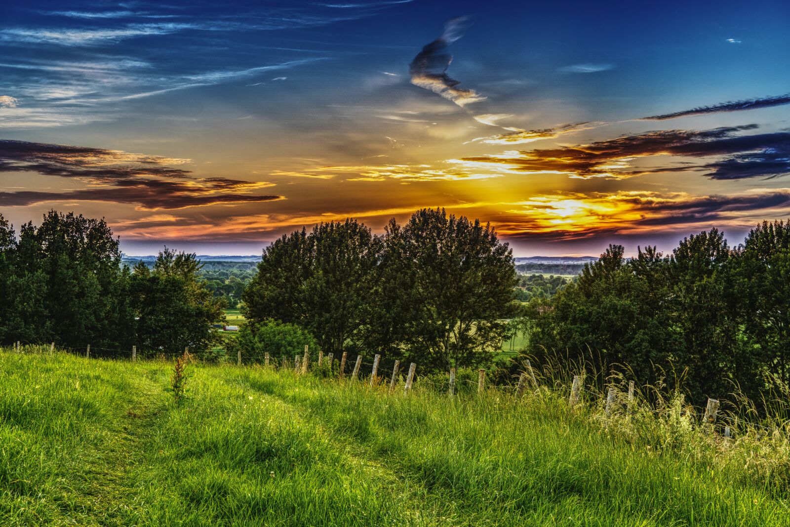 Sony a6300 + Sigma 30mm F2.8 EX DN sample photo. Sunset, meadow, landscape photography