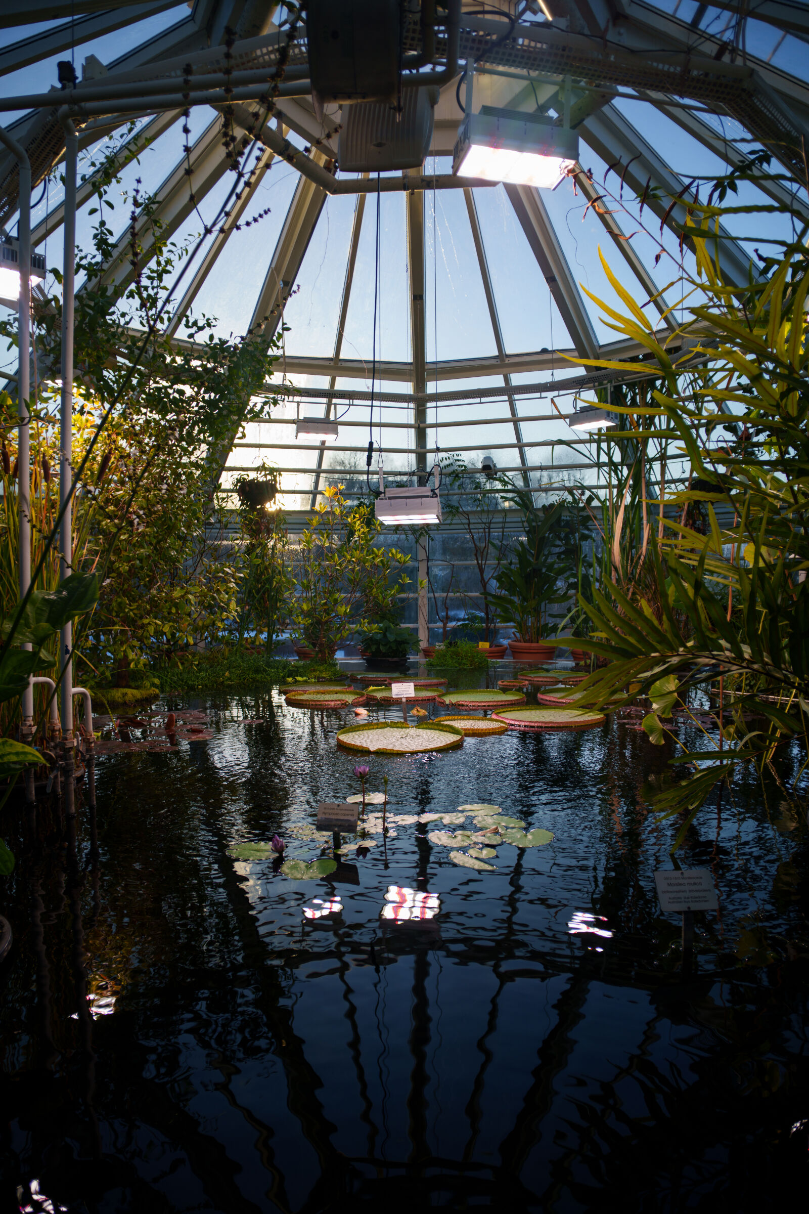 Samyang Remaster Slim 21mm F3.5 sample photo. Greenhouse pond photography