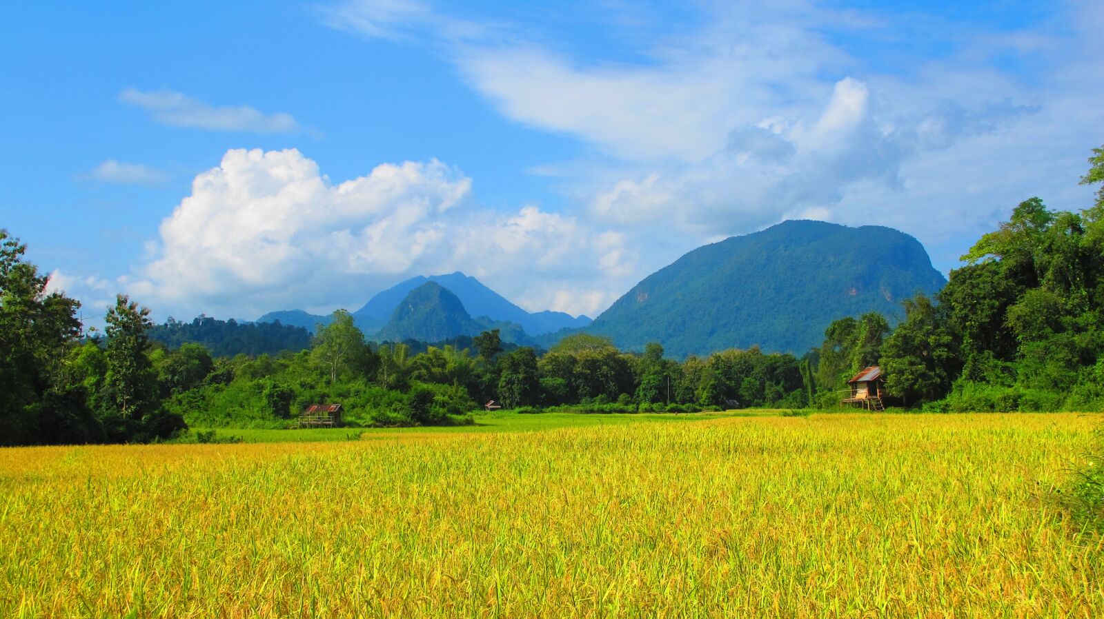 Canon PowerShot G12 sample photo. Country side, laos, field photography
