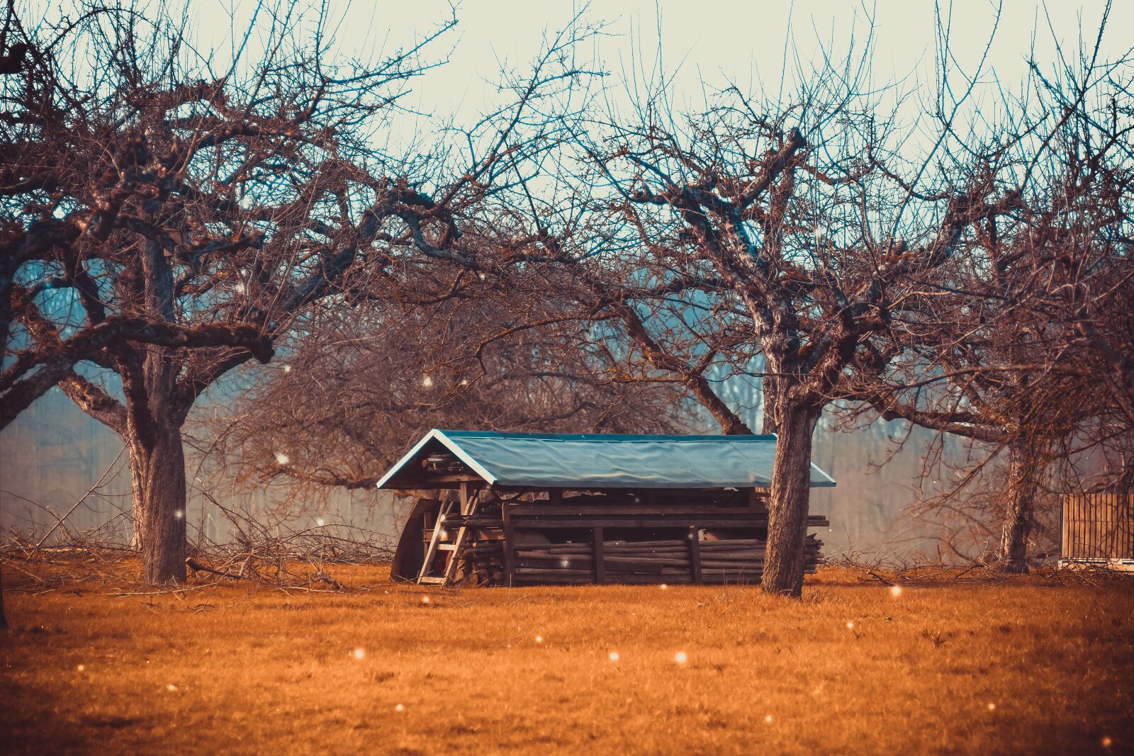 Nikon D7200 sample photo. Log cabin, fruit trees photography