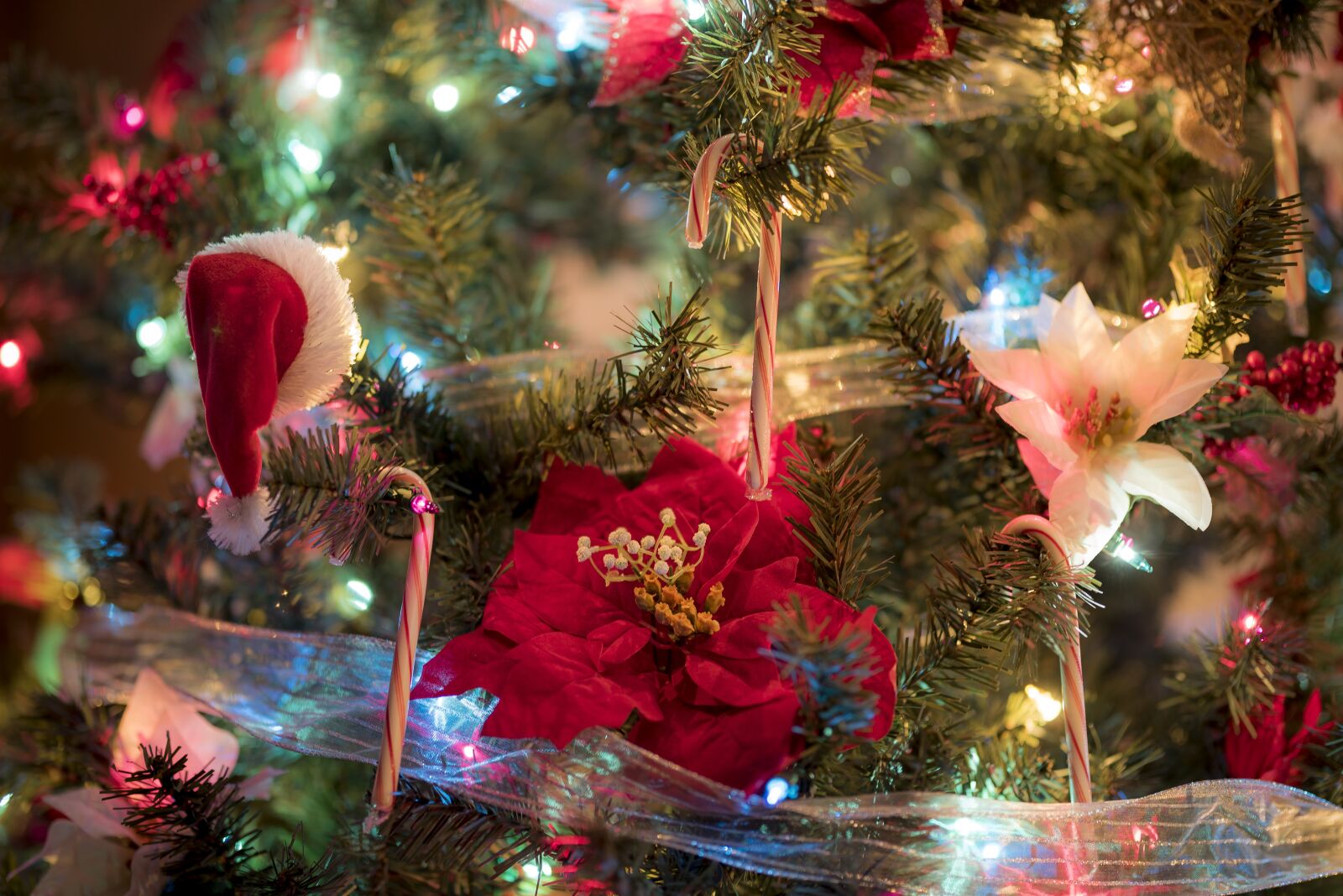 Nikon D810 sample photo. Christmas, decorations, decoration photography