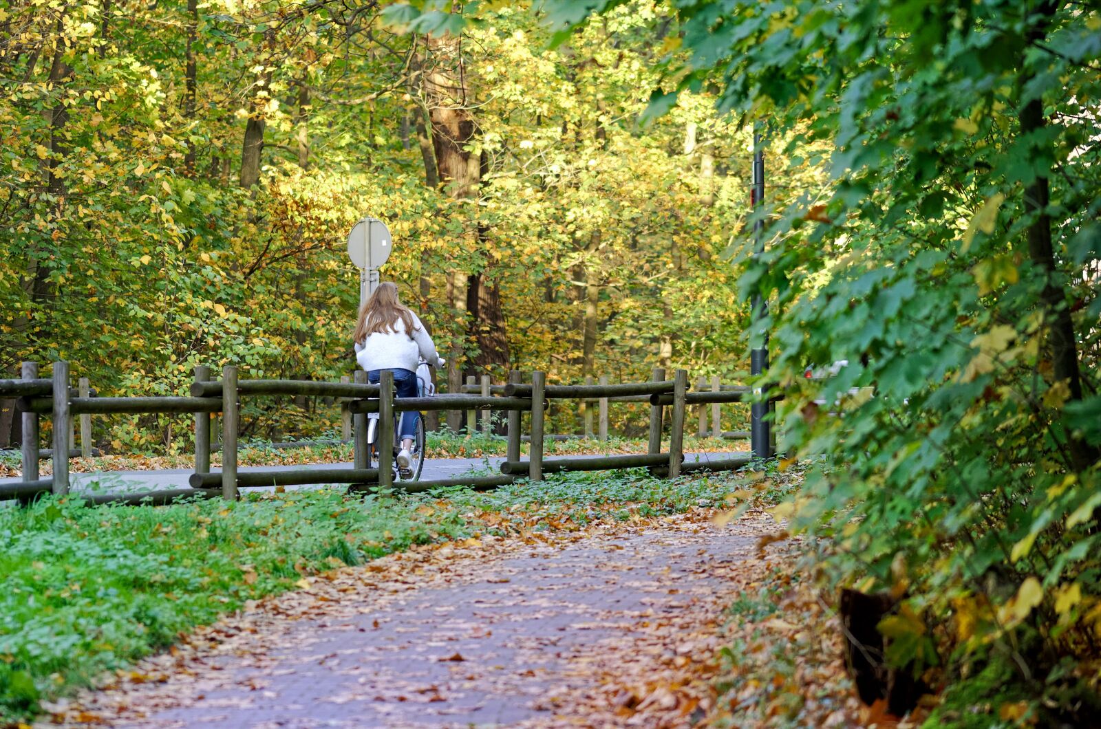 Nikon D5100 sample photo. Landscape, forest, road photography