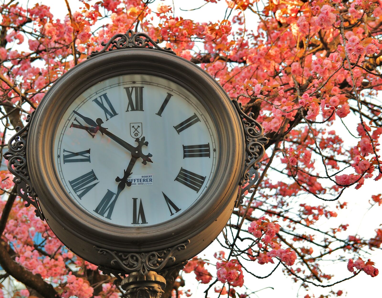 Canon EOS 70D sample photo. Clock, pointer, clock face photography