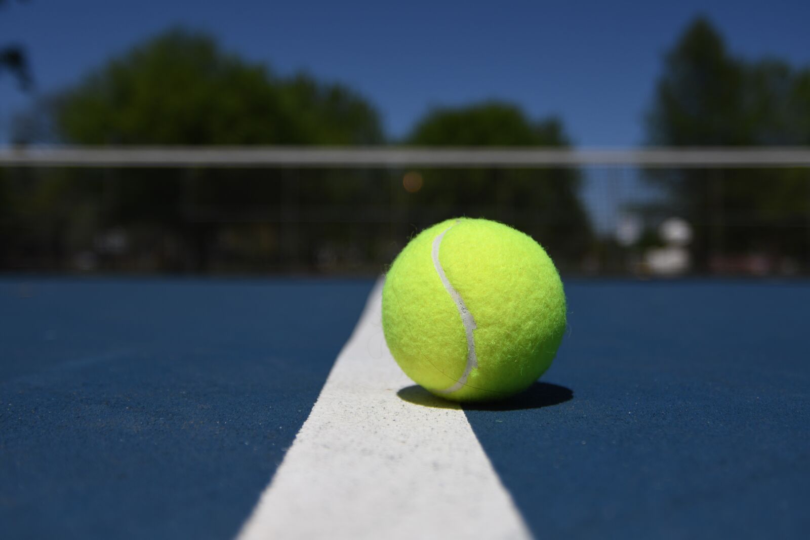 Nikon D500 sample photo. Sport, tennis, ball photography