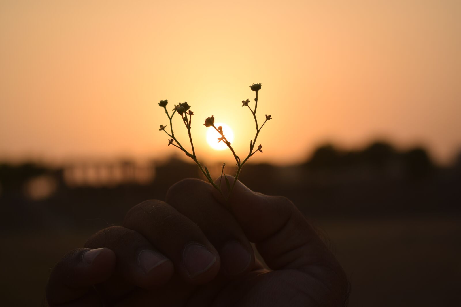 Nikon D5300 sample photo. Sunset, nature, landscape photography