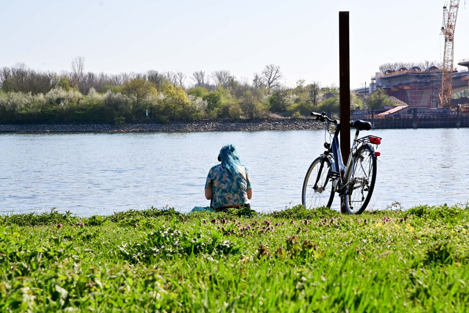 Nikon Z7 sample photo. Rhine, rhine bank, park photography
