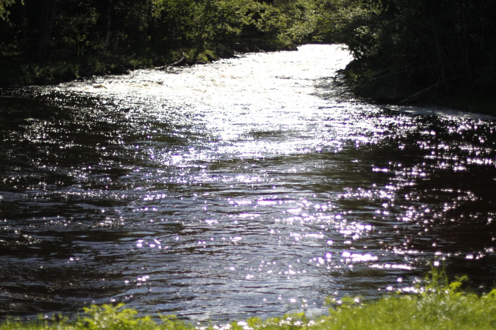 Canon EOS 7D sample photo. Water, brook, summer photography