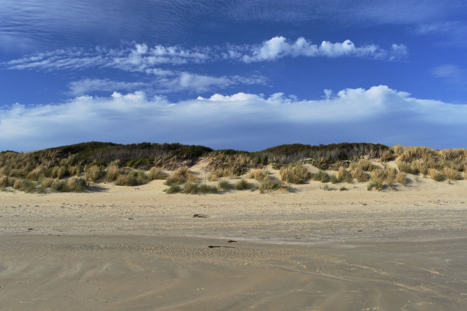 Nikon D7200 sample photo. Australia, beach, beach grass photography