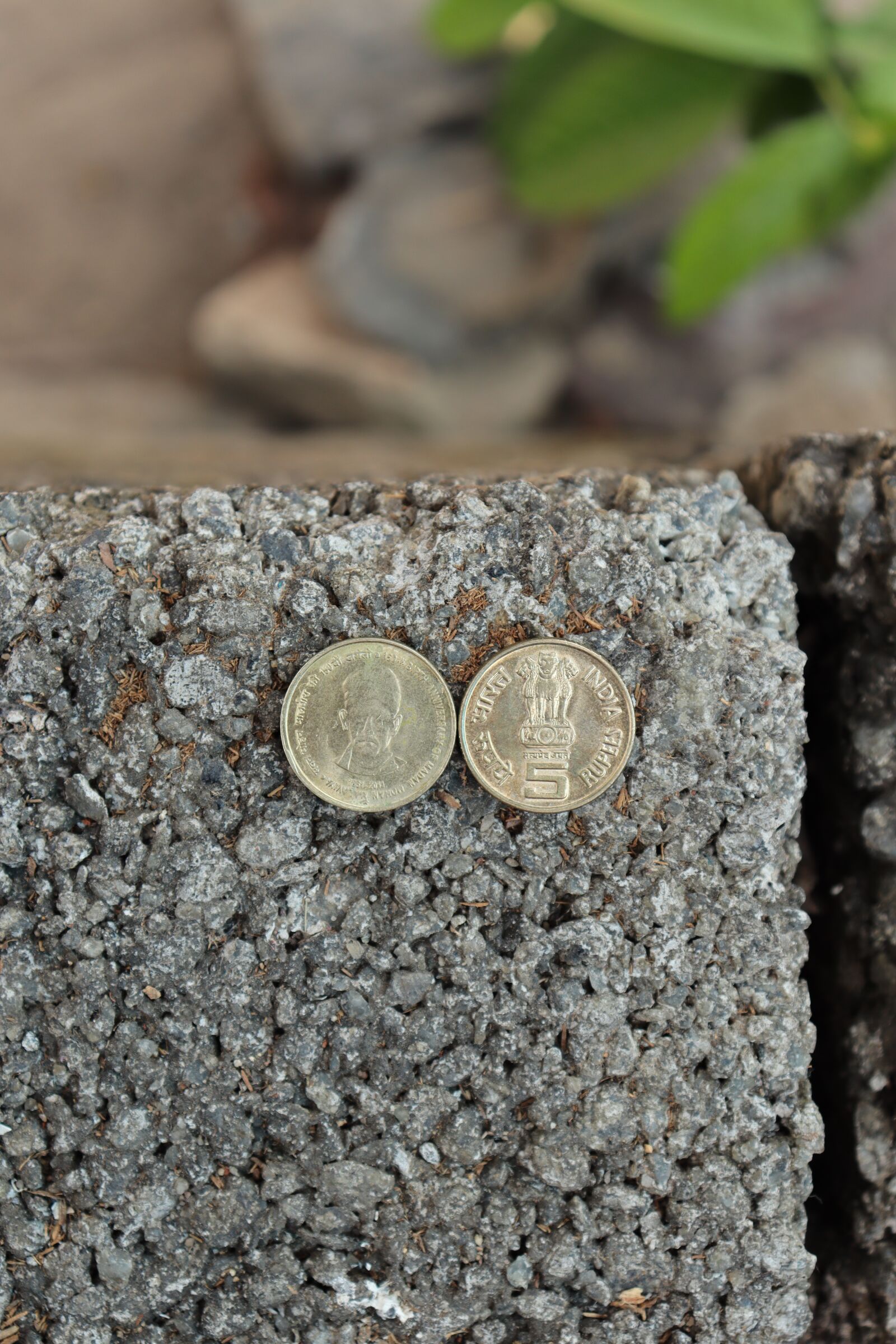 Canon EOS 250D (EOS Rebel SL3 / EOS Kiss X10 / EOS 200D II) sample photo. Coin, money, finance photography