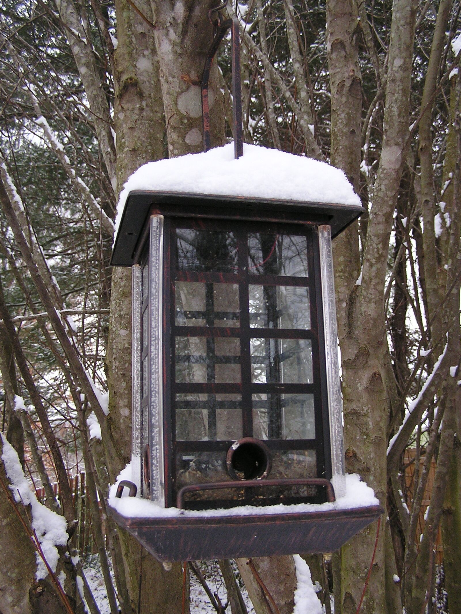 Olympus C740UZ sample photo. Snow, bird feeder, winter photography