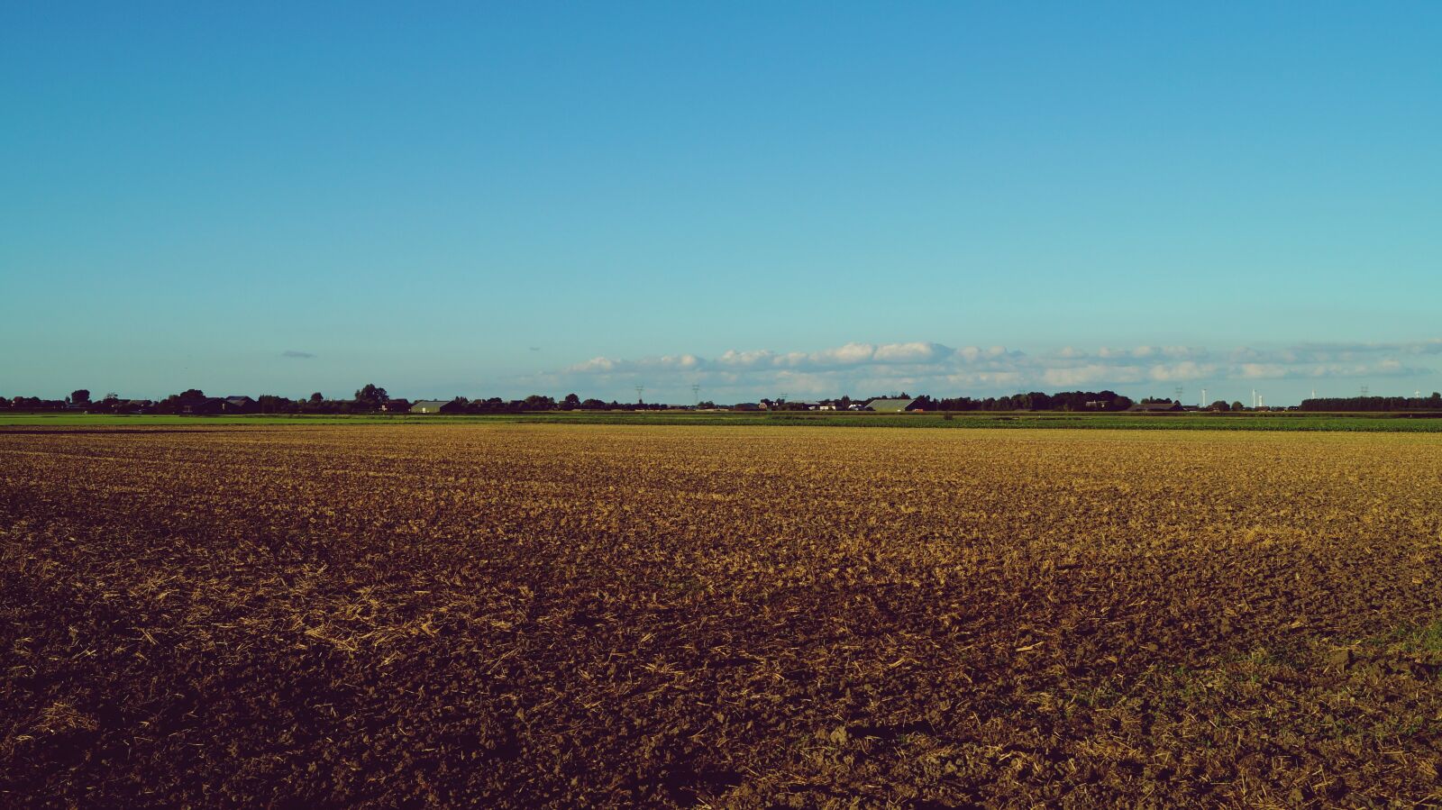 Sony DT 18-55mm F3.5-5.6 SAM II sample photo. Agriculture, clouds, countryside, cropland photography