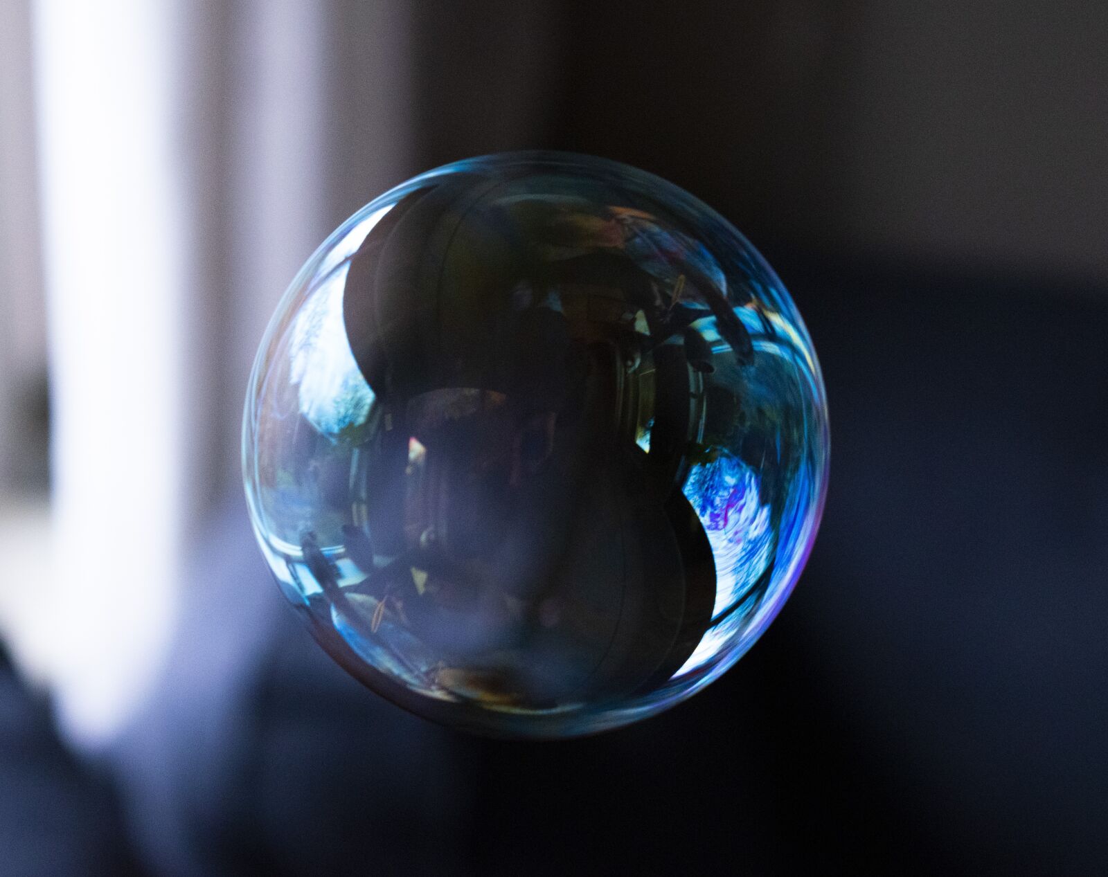 Nikon D3500 sample photo. Bubble, soap, fun photography