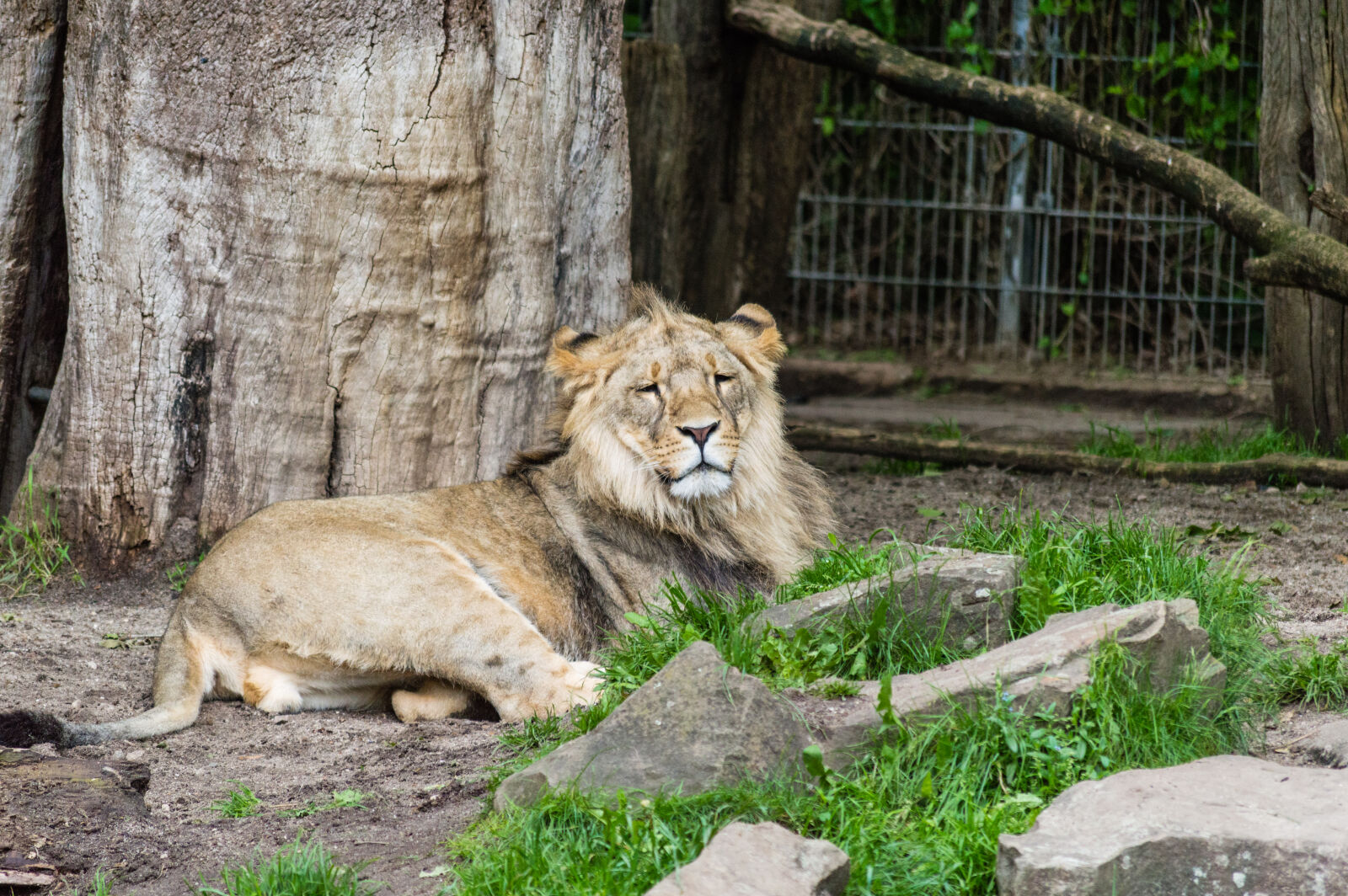 Nikon D3200 sample photo
