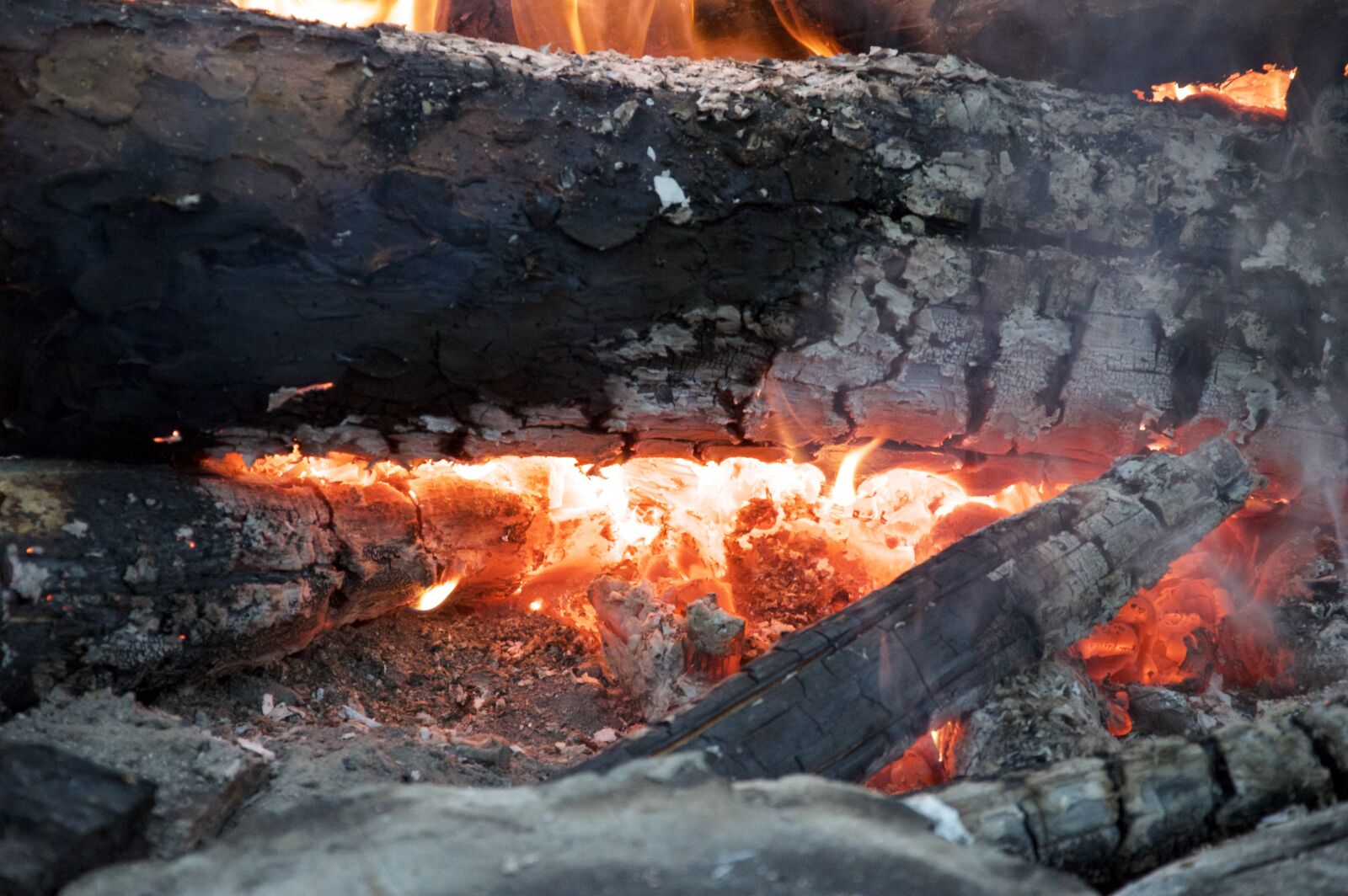 Nikon D3200 sample photo. Bonfire, campfire, fire photography