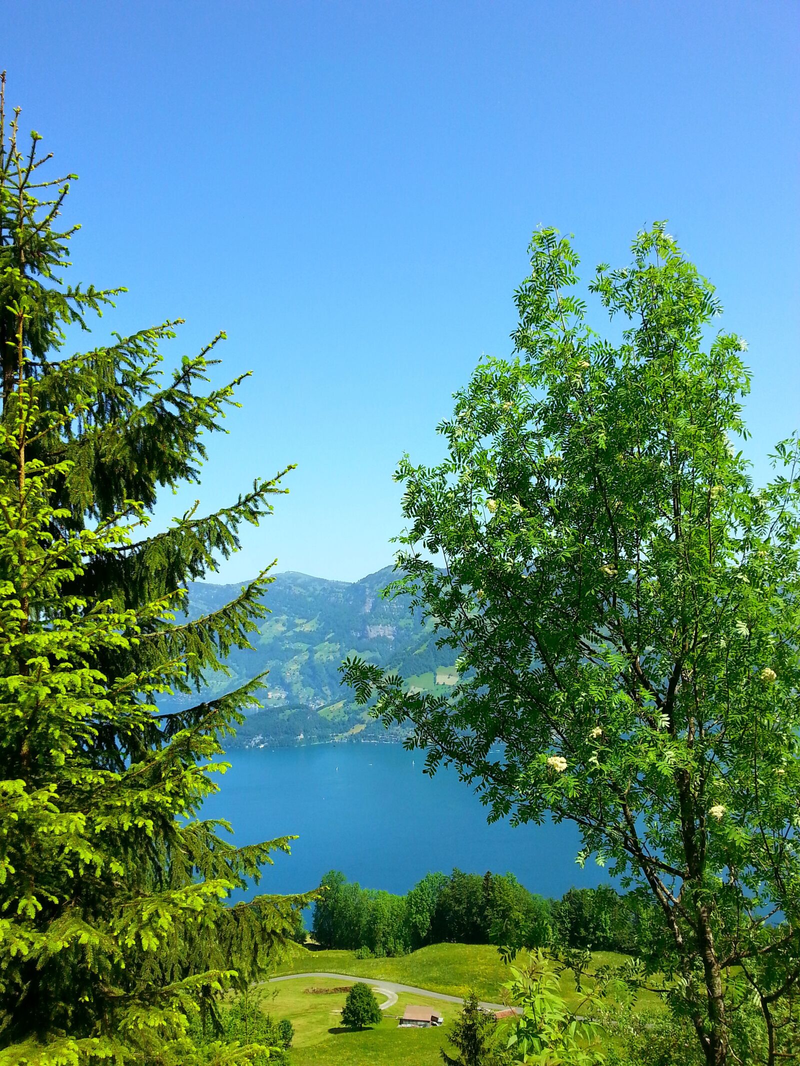 Samsung Galaxy S3 sample photo. Forest, lake, lakeside, mountain photography