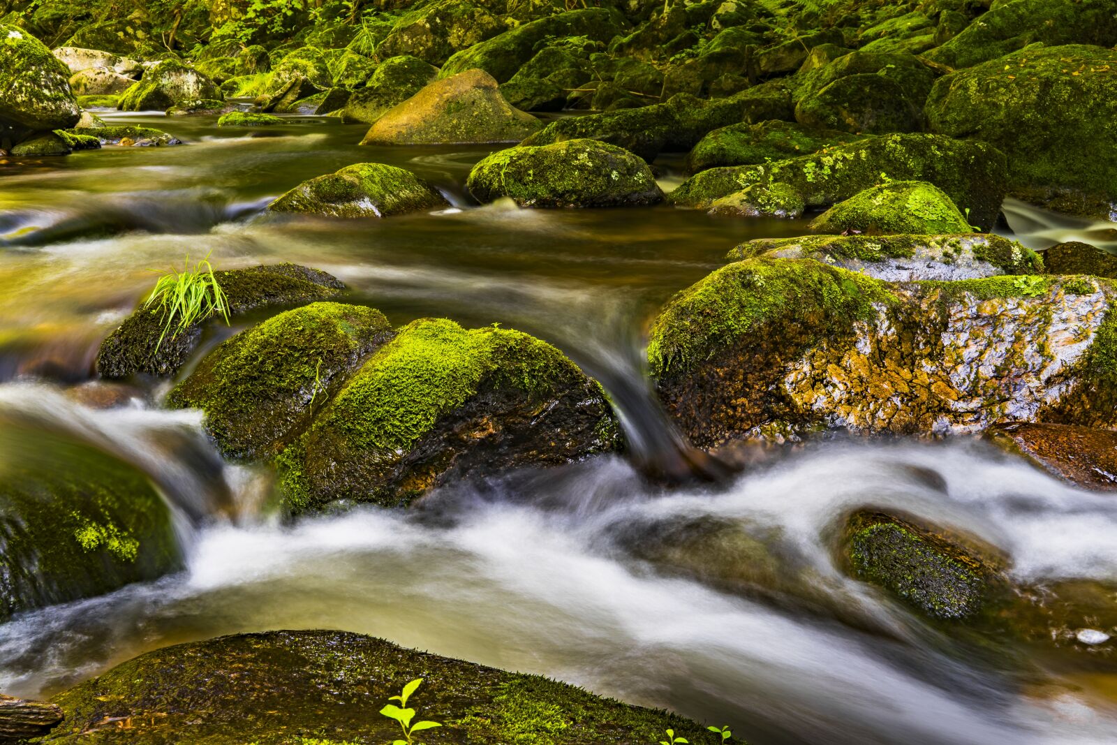 Sony a6300 + Sigma 30mm F2.8 EX DN sample photo. Water, river, nature photography