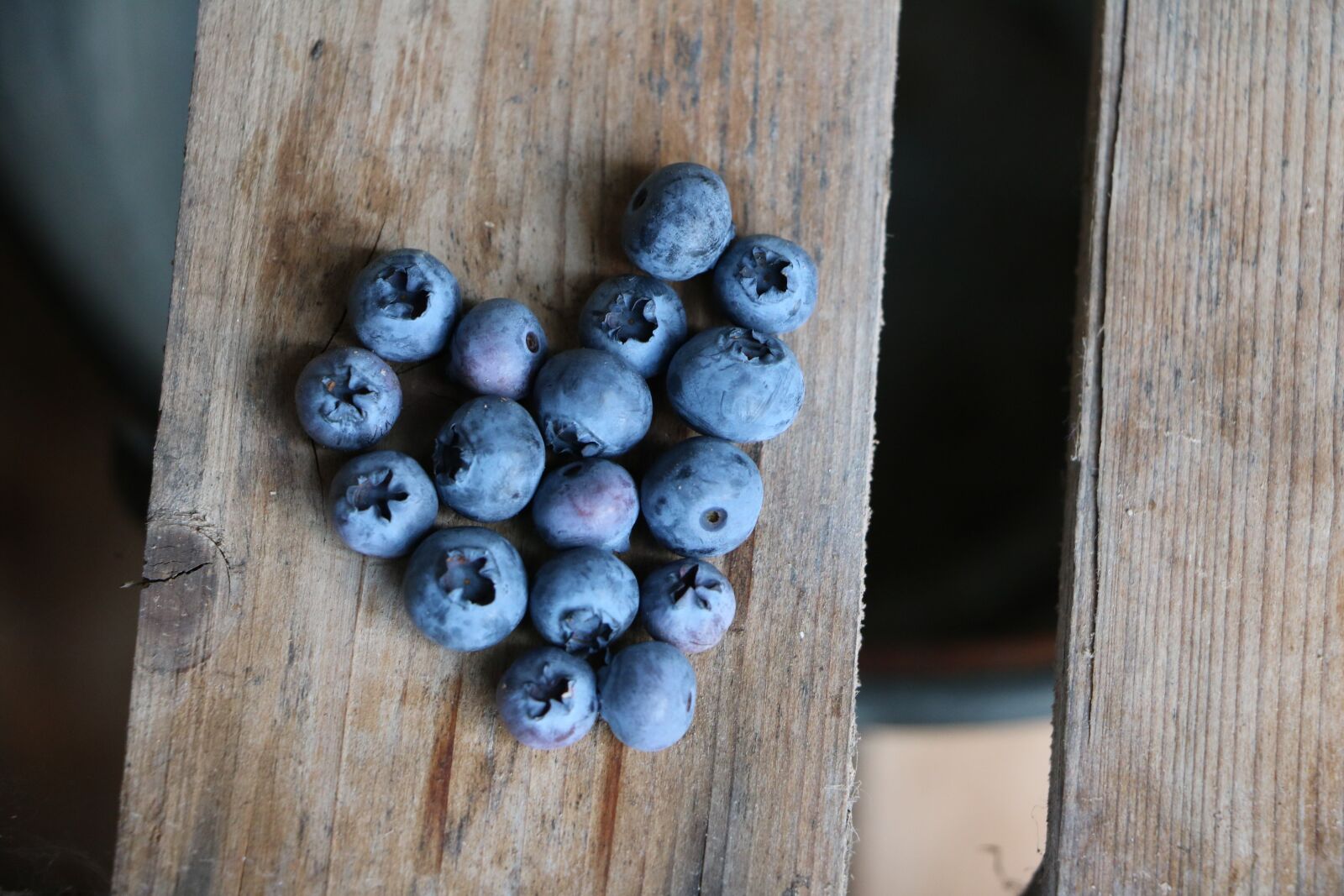 Canon EOS 750D (EOS Rebel T6i / EOS Kiss X8i) sample photo. Blueberries, heart, obstkiste photography