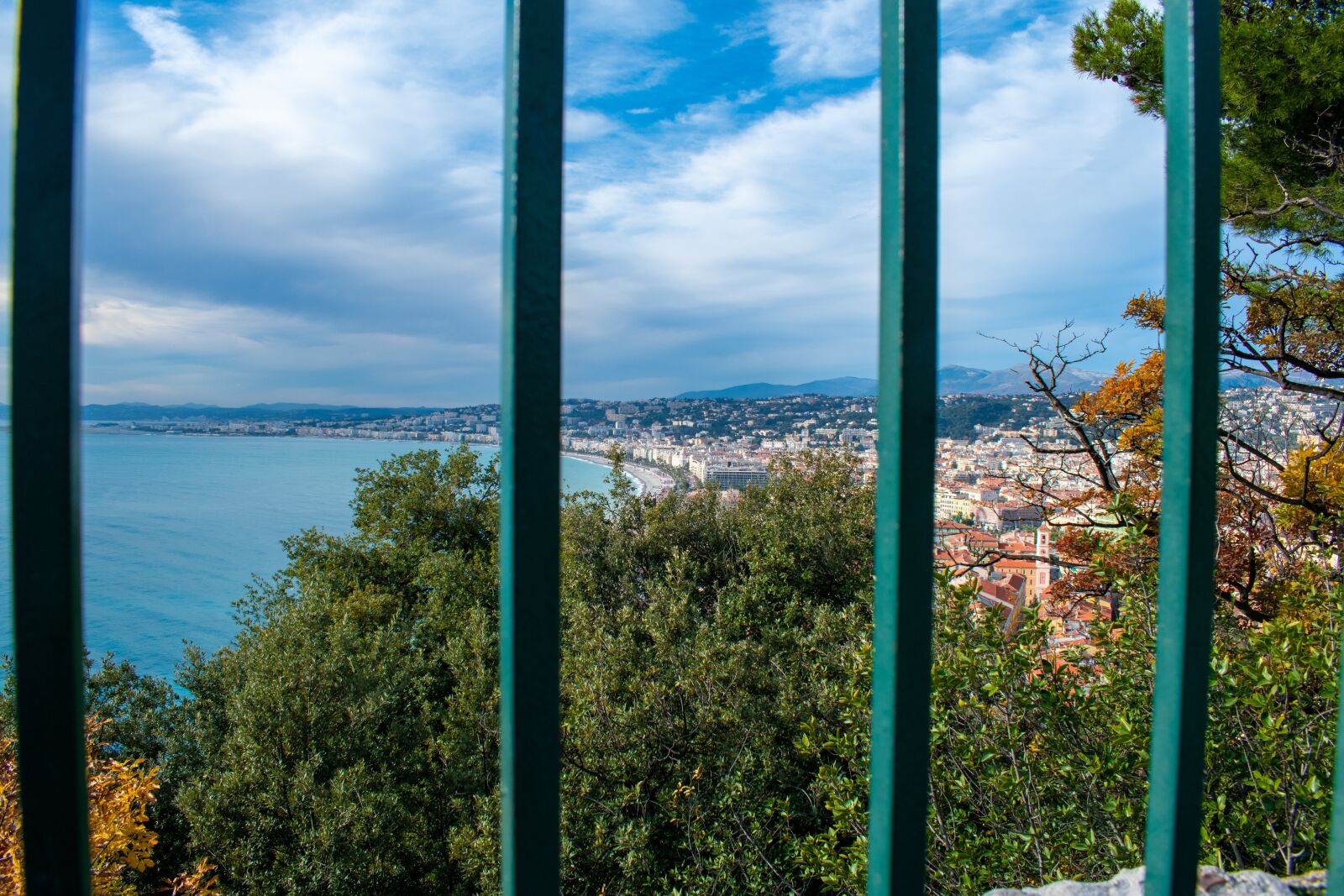 Nikon D5600 sample photo. Mountains, trees, city photography