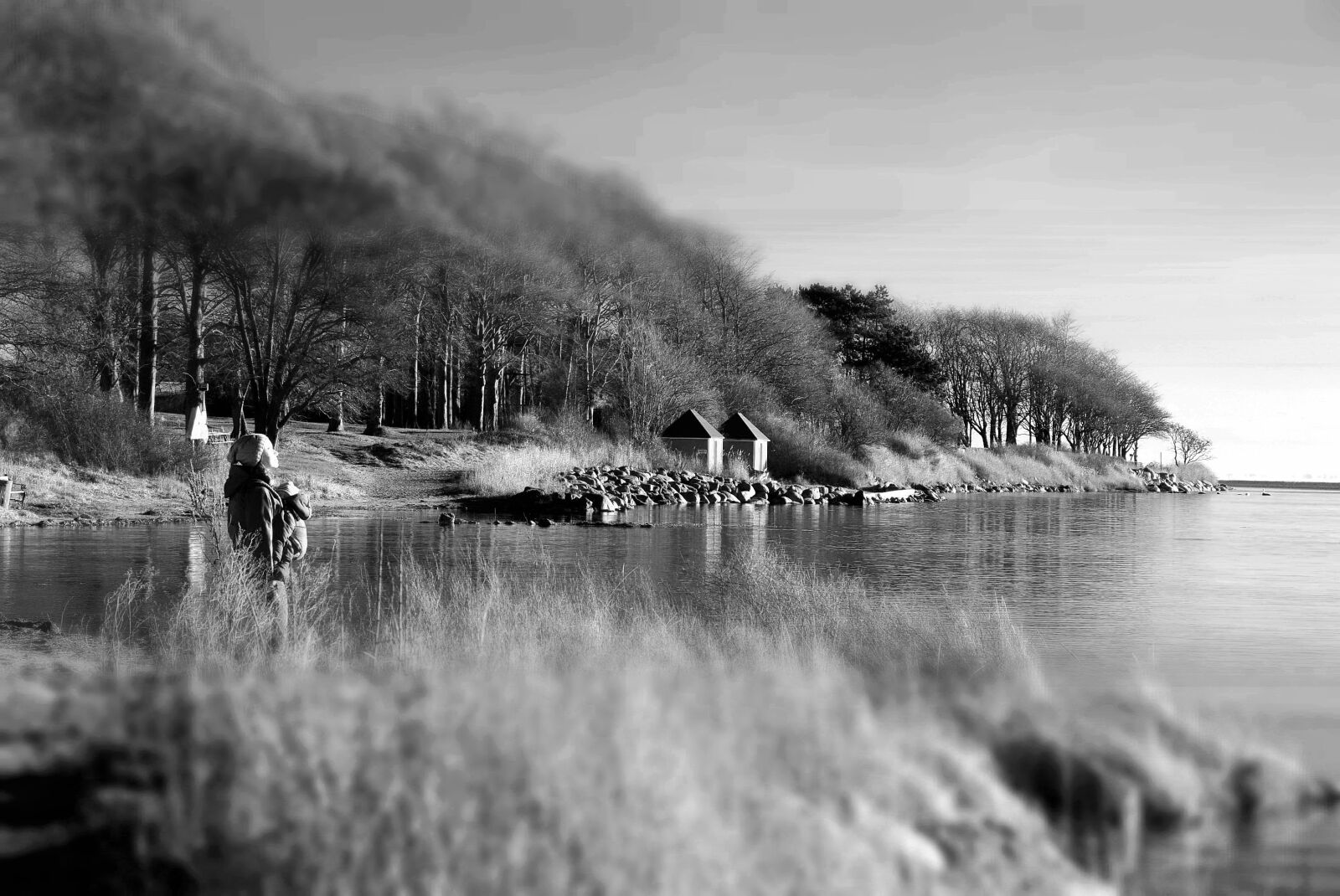 Nikon D5300 sample photo. Baltic, sea, coast, denmark photography