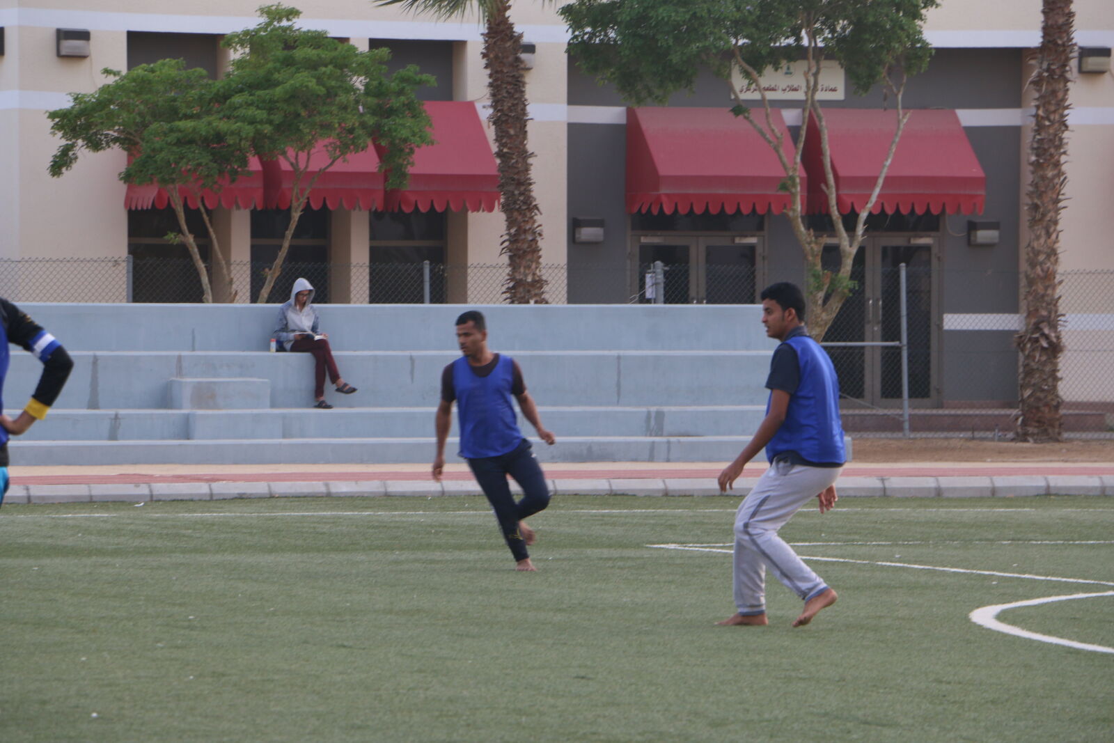 Canon EOS 70D sample photo