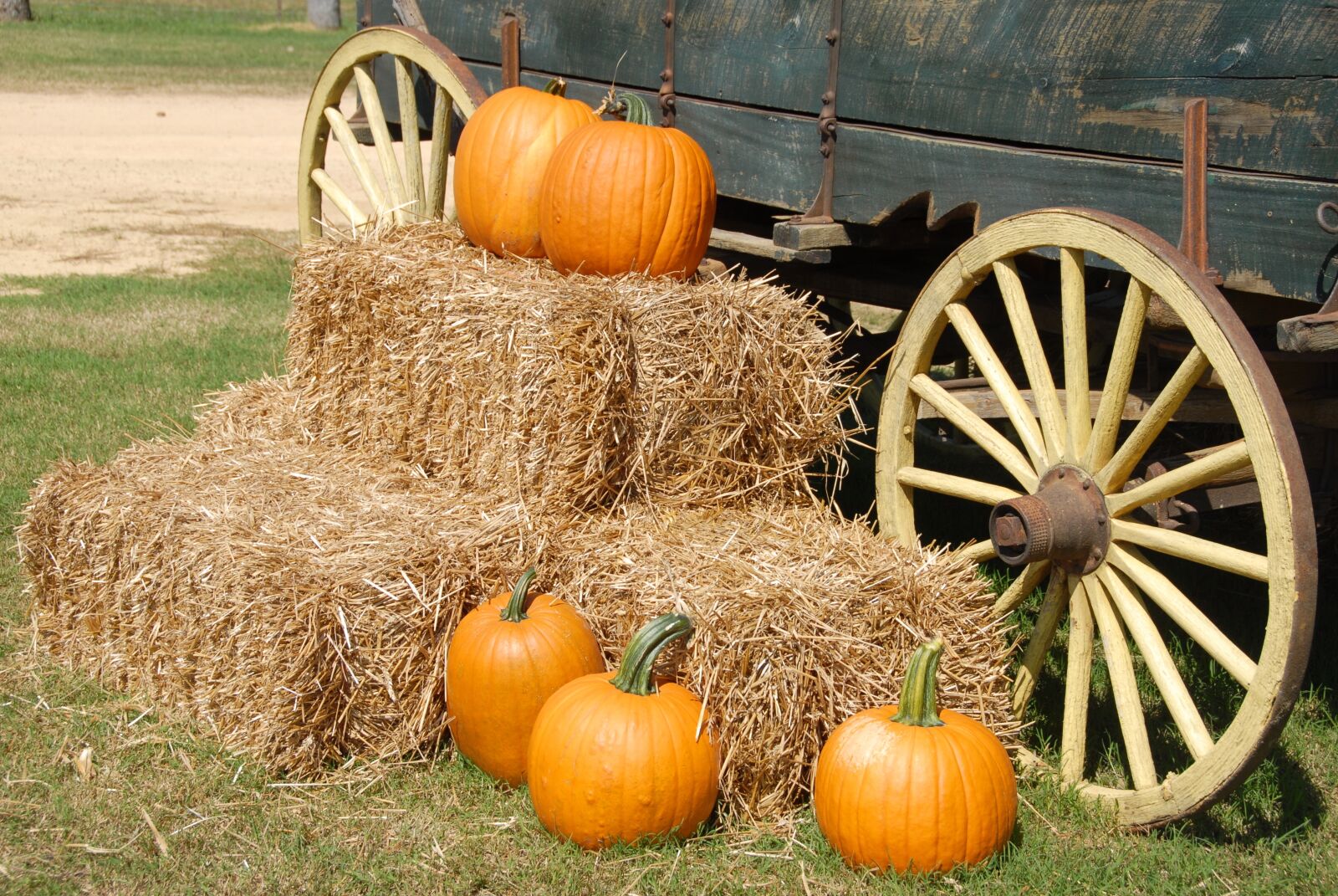 Nikon D200 sample photo. Pumpkins, wagon, farm photography