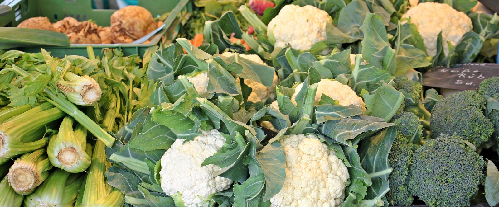 Canon EOS 550D (EOS Rebel T2i / EOS Kiss X4) sample photo. Vegetables, cauliflower, staudensellrie photography