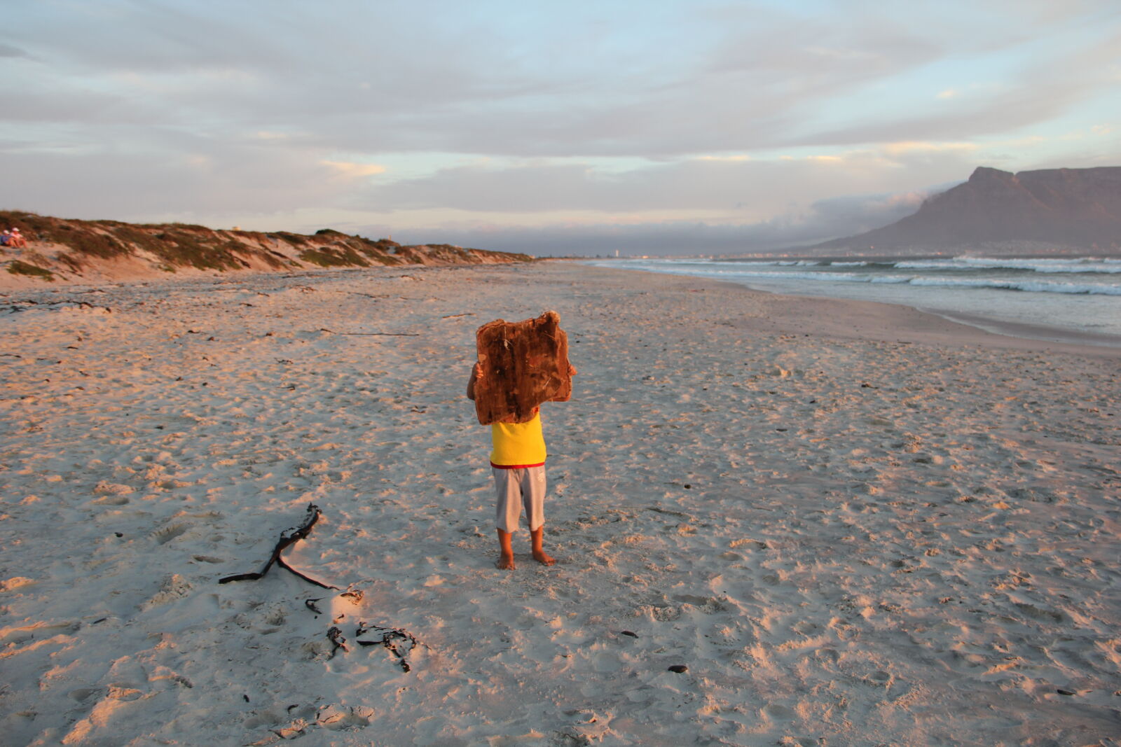 Canon EOS 550D (EOS Rebel T2i / EOS Kiss X4) sample photo. Beach, cape, town, driftwood photography