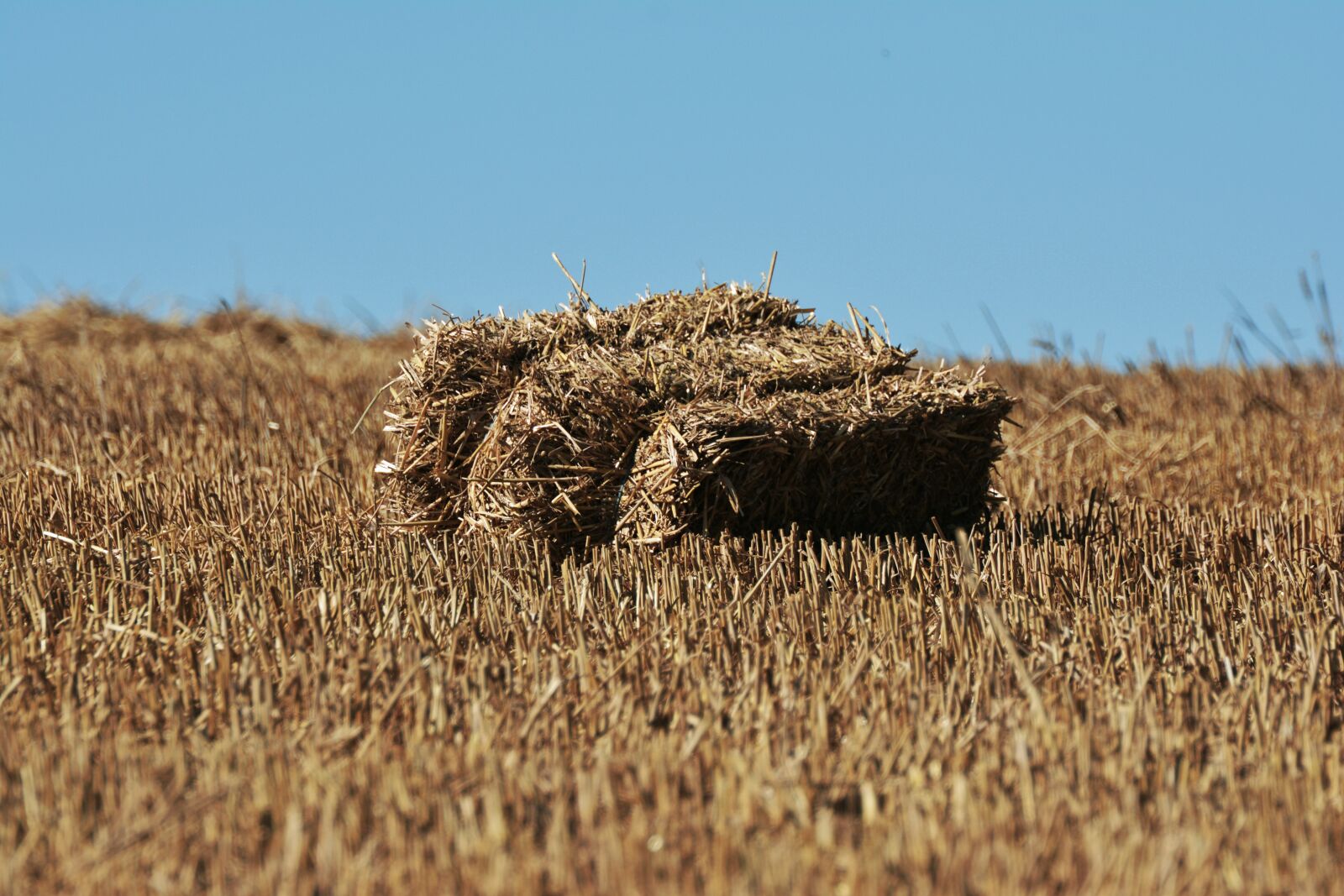 Nikon D5200 sample photo. Straw bales, straw, stubble photography