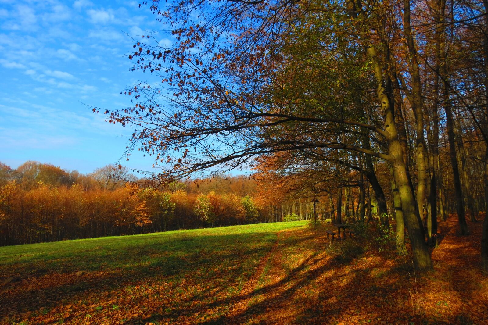 Canon PowerShot SX40 HS sample photo. Autumn, mood, slovakia photography