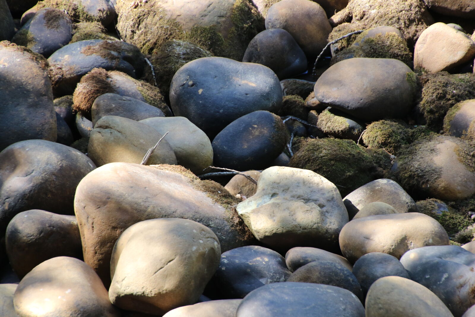 Canon EOS 7D Mark II sample photo. Boulders, moss, rocks, round photography